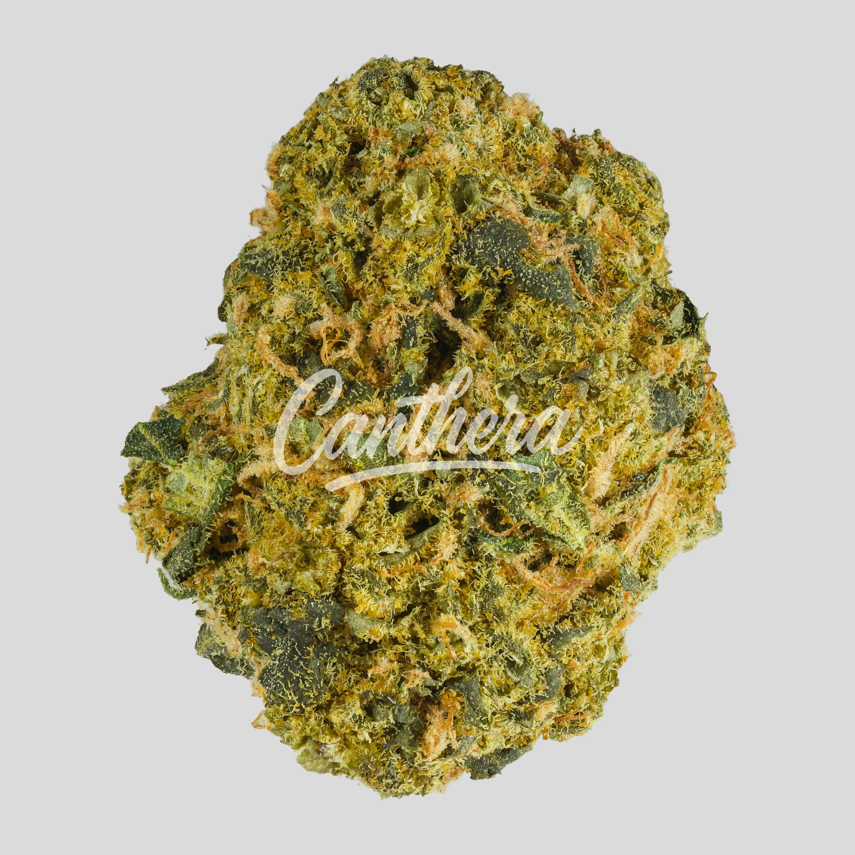 ZOIKS 31/1 LK - OG Lime Kush