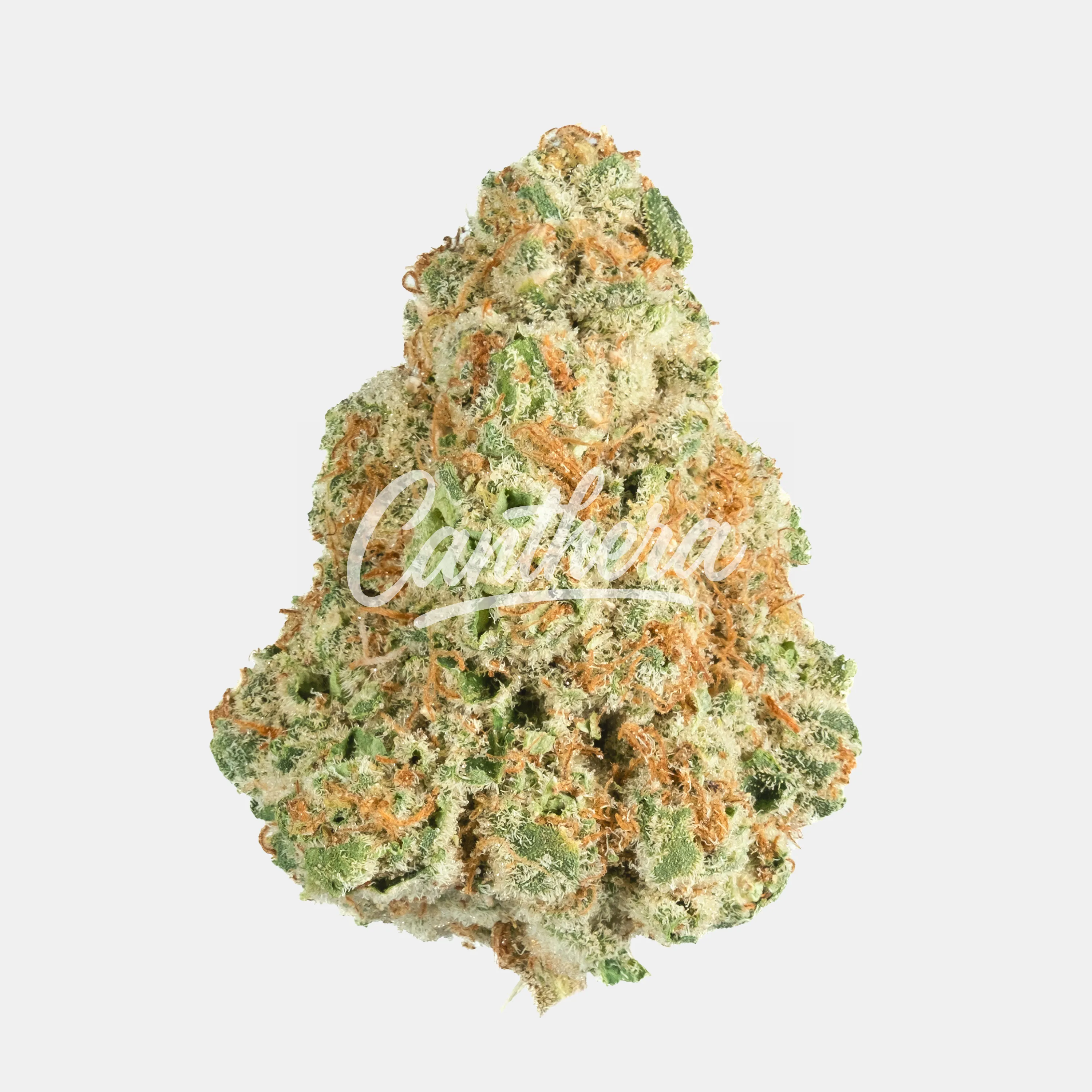 420 Evolution 25/1 CA PCH - Peach Chementine