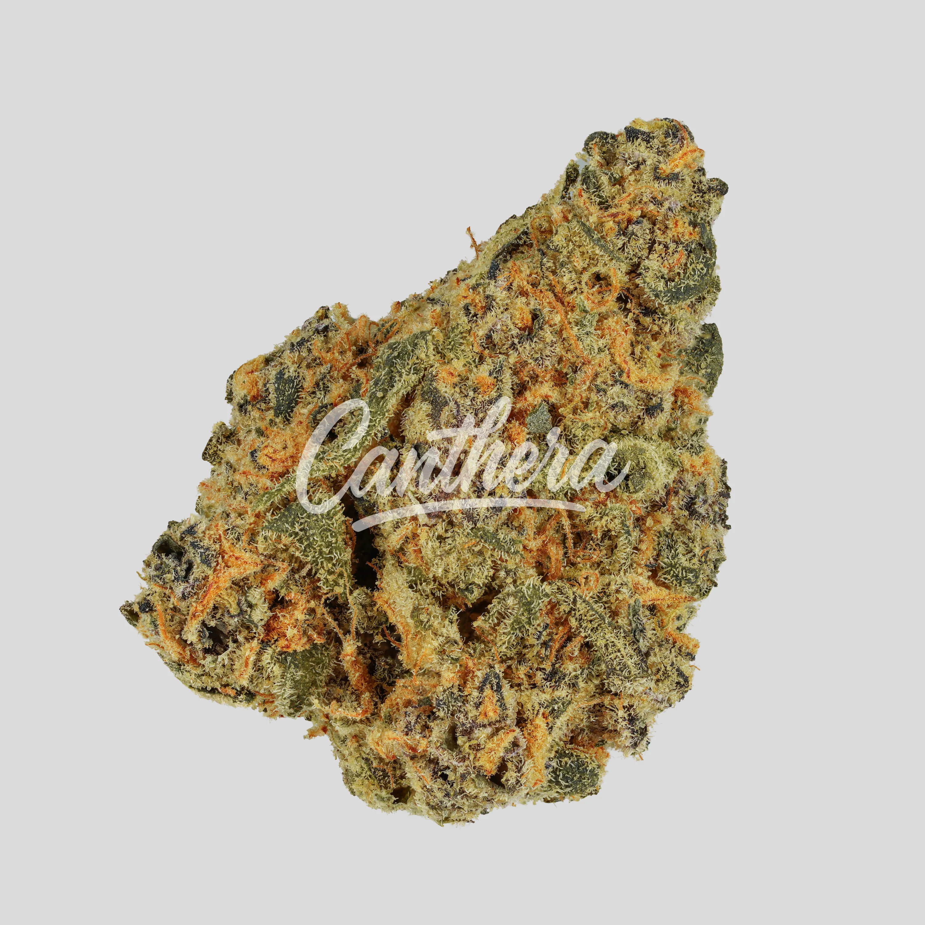 Kush Collective 27/1 GDP - Granddaddy Punch Kush Collective 27/1 GDP - Granddaddy Punch