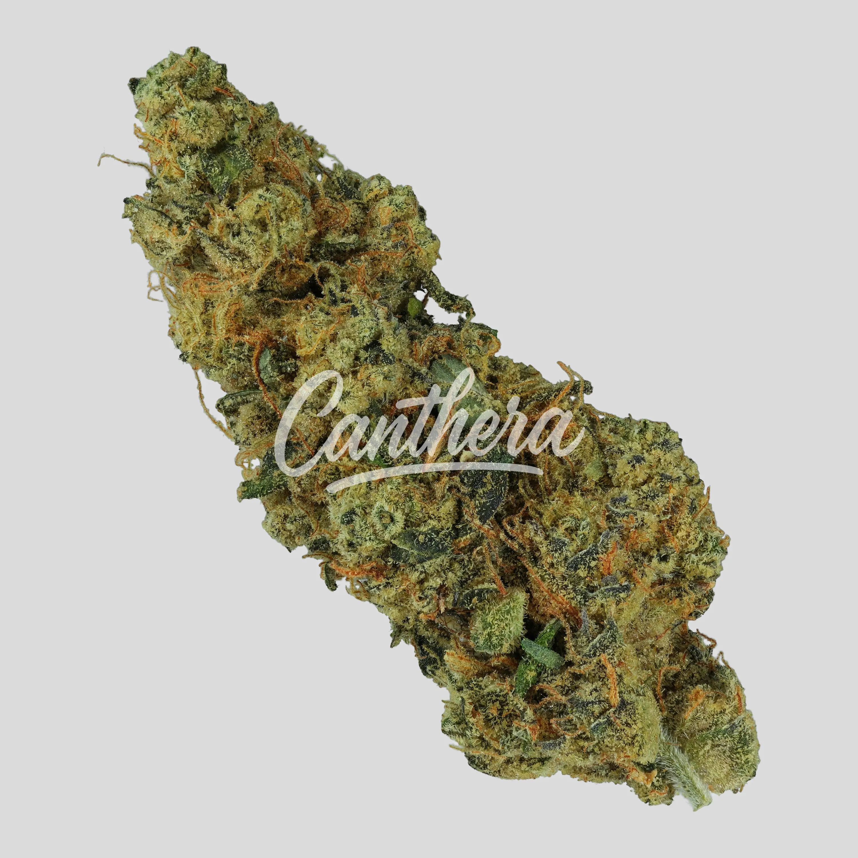 ADREX 29 CKD CAN Cookie Dough