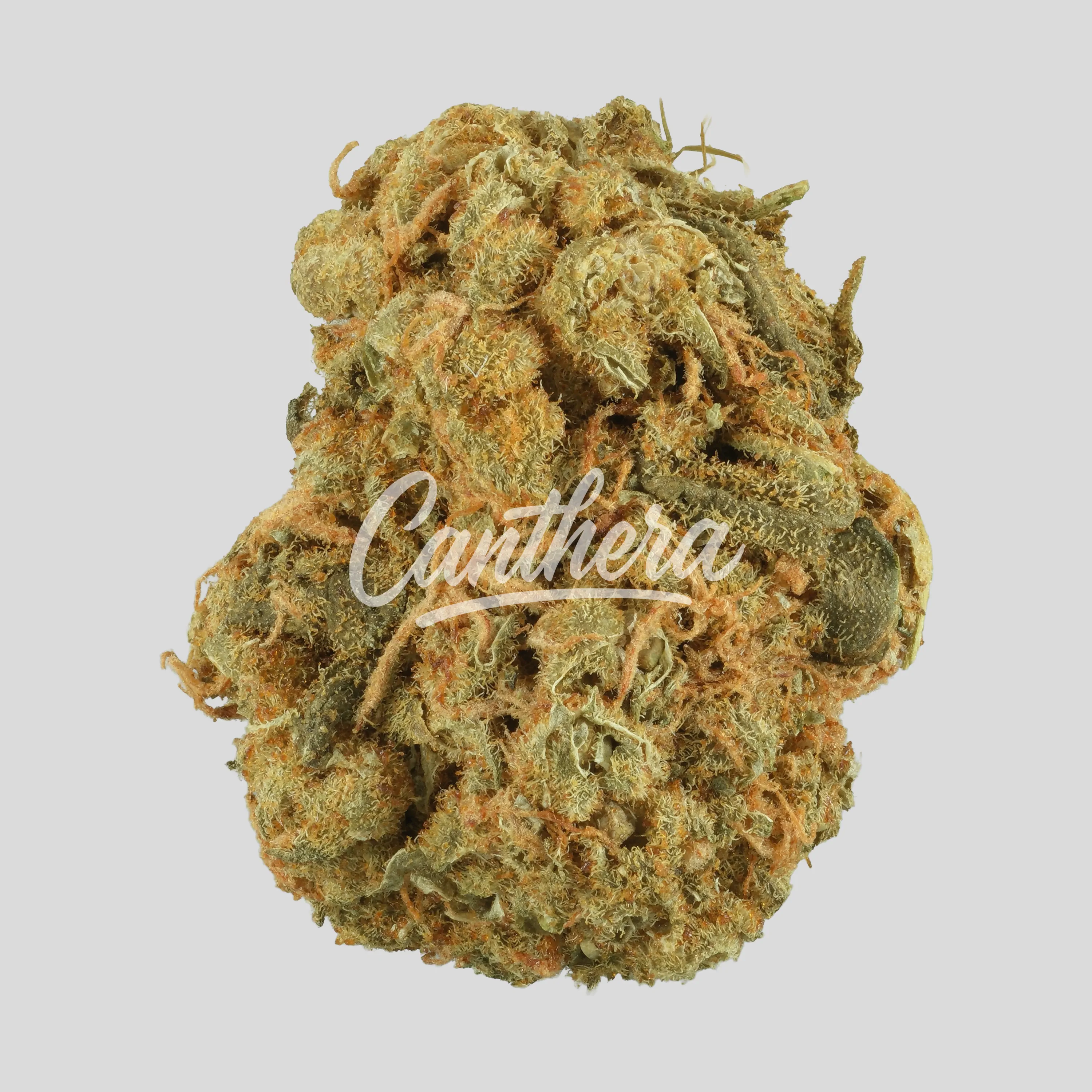 IMC B2 THC20 Token - Sour Splash