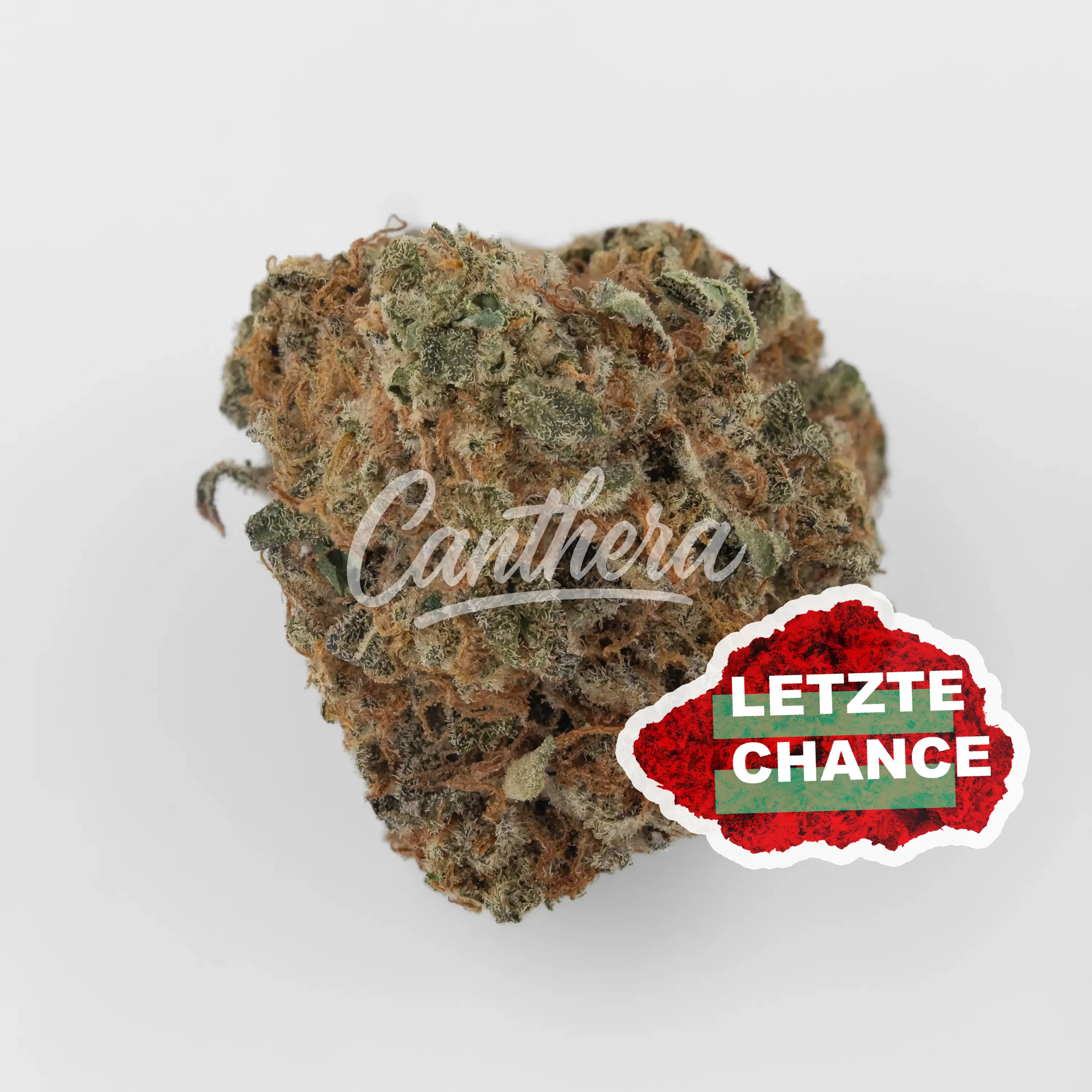 Cannamedical Sativa Forte venomZ Eve