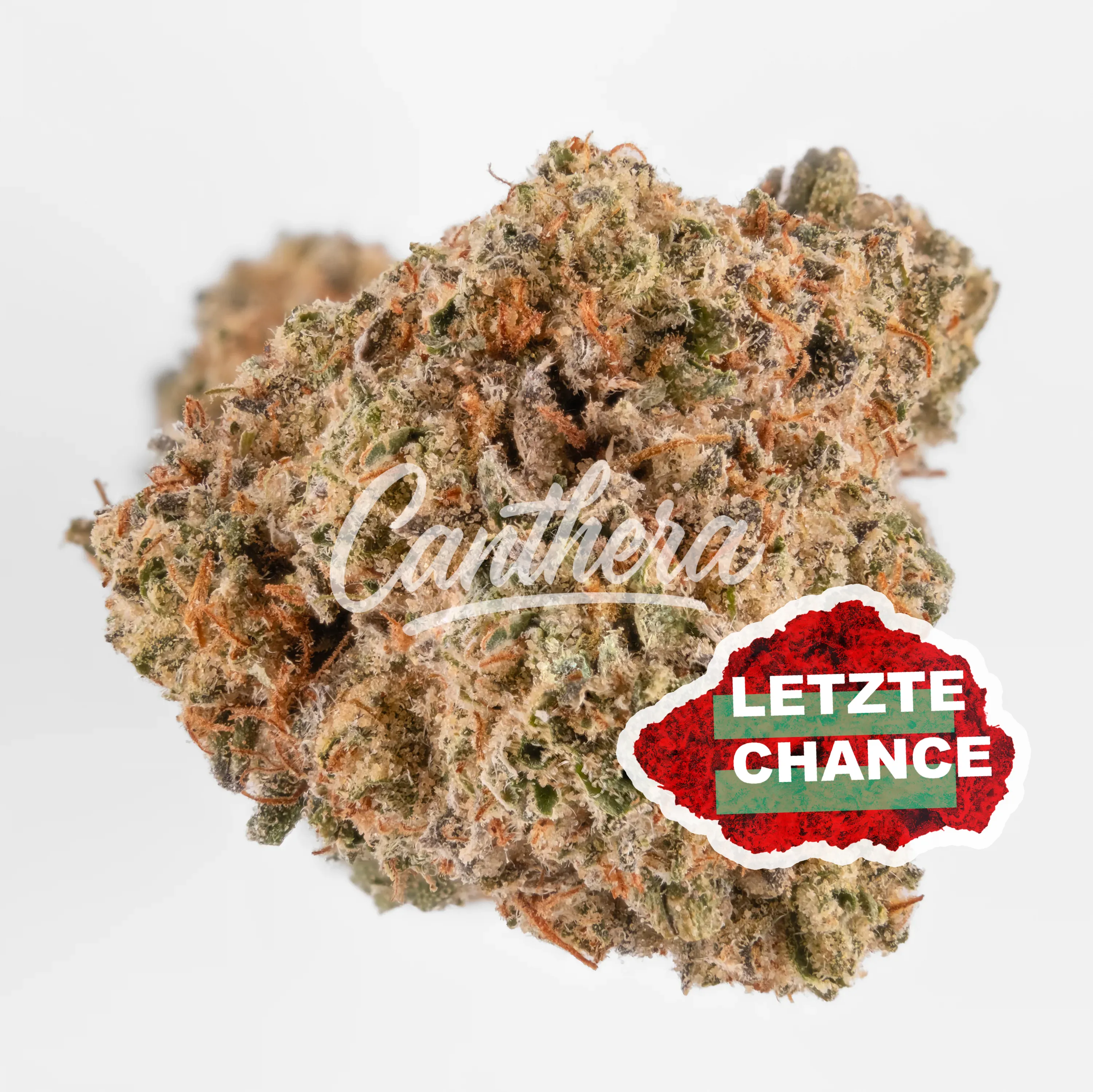 Remexian 27/1 GCC THZ The Zoap