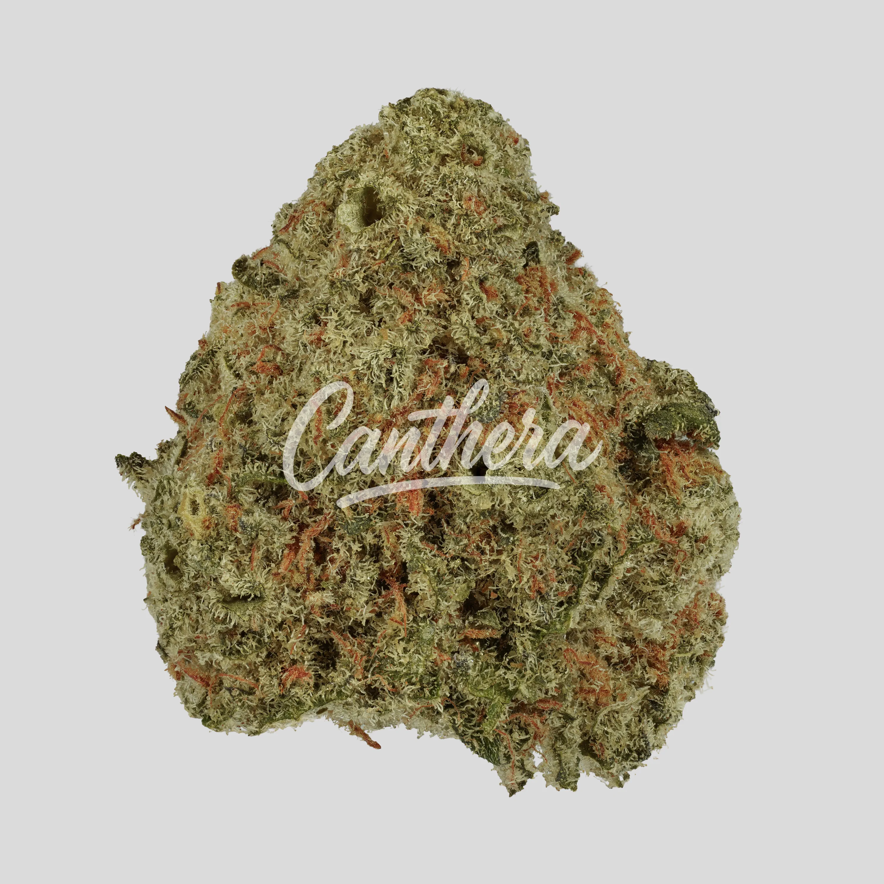 Huala 27/1 CA ALM - Alien Mints
