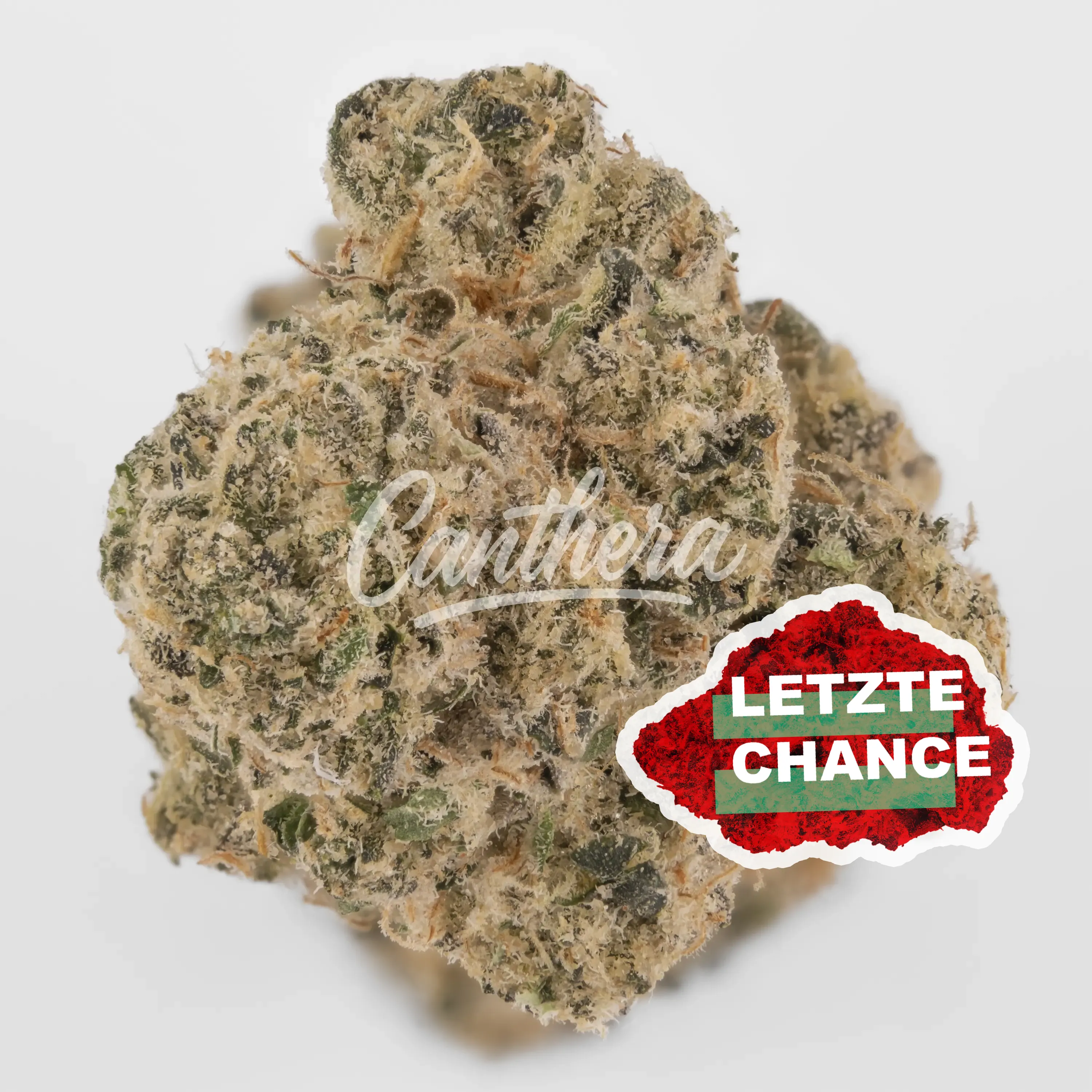 Cannamedical Sativa ultra NM - Polar Cookies
