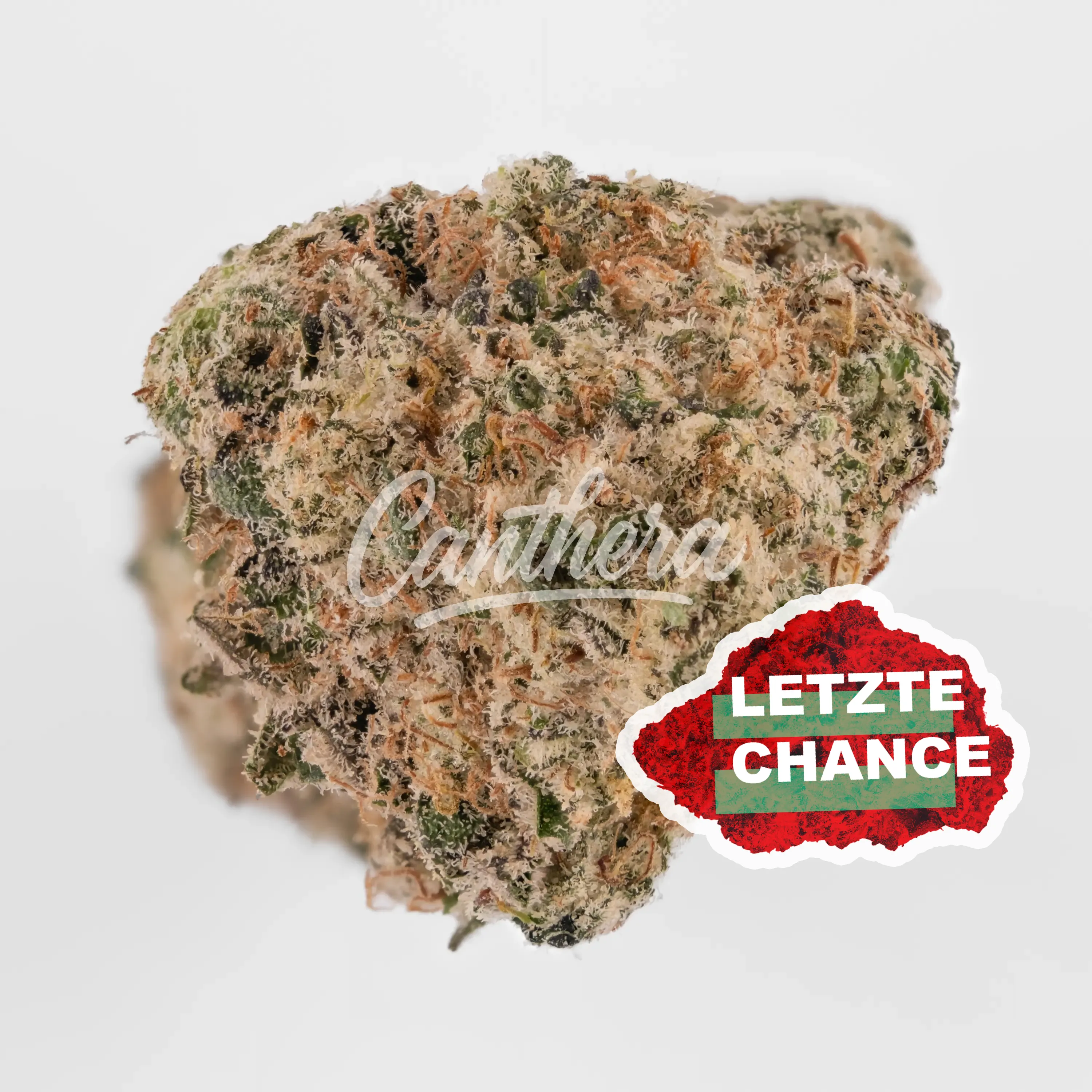 420 Compound 27/1 RPV - Rose Gold Pave | 100.1702