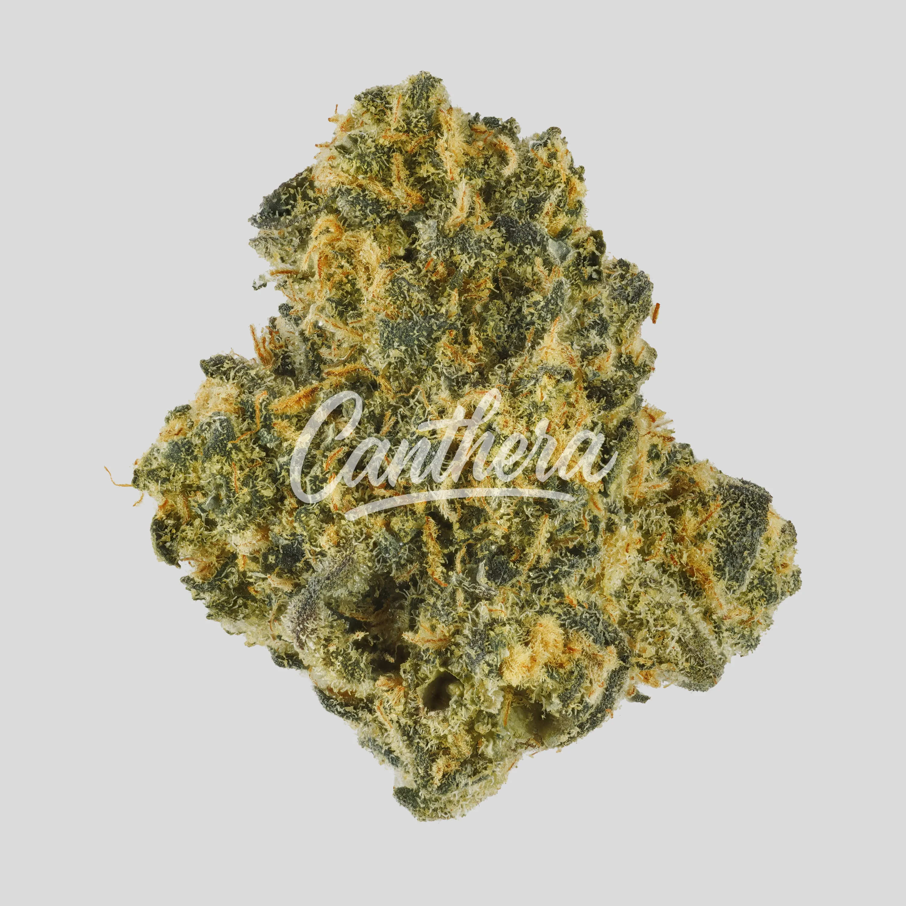 Demecan Core Purple Twist 26:01 RS11 - Rainbow Sherbert 11