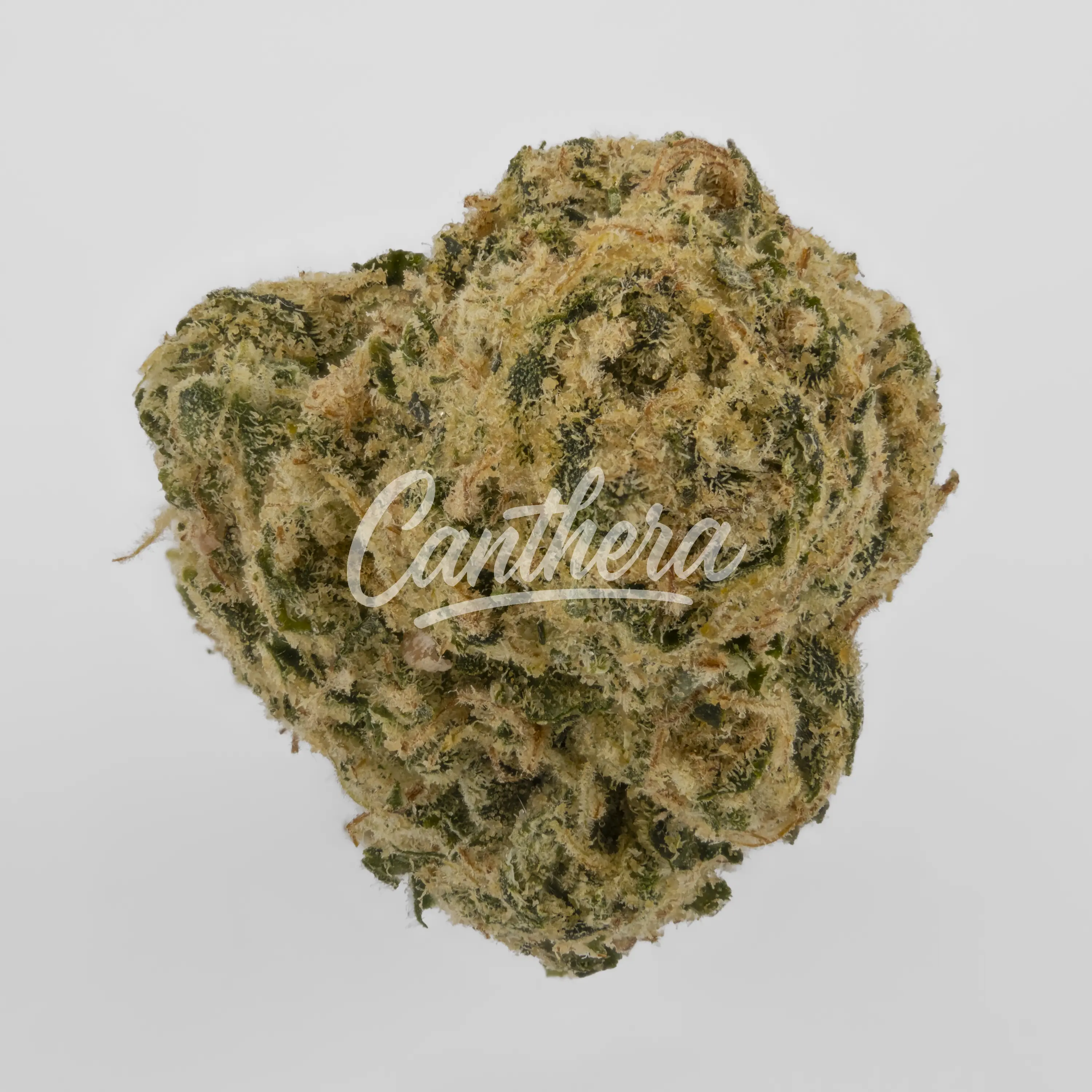 Peace Naturals 31/1 SC - Space Cake Nahaufnahme einer medizinischen Cannabisblüte