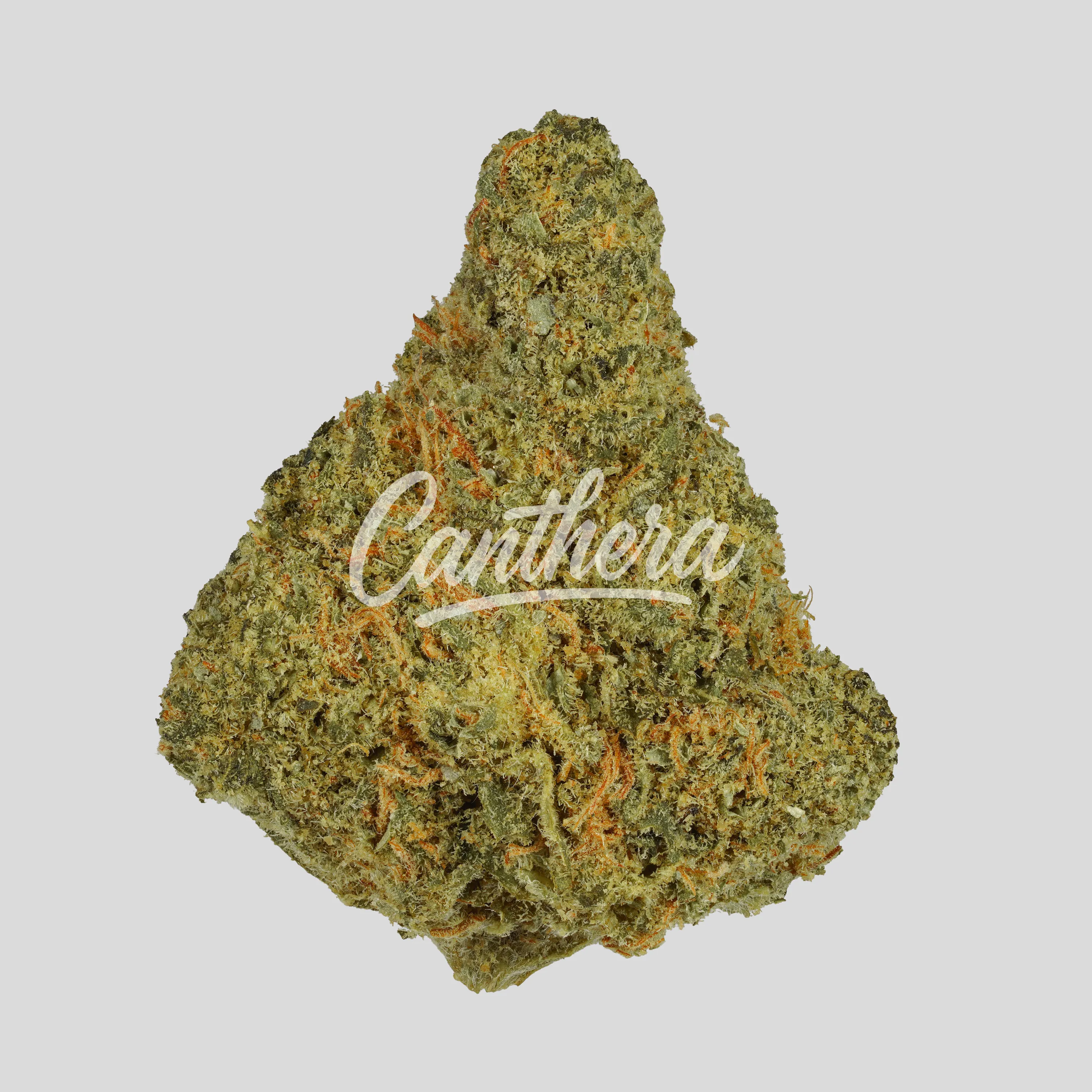 Demecan AV Regular Drop 25/1 - Citroli Demecan AV Regular Drop 25/1 - Citroli