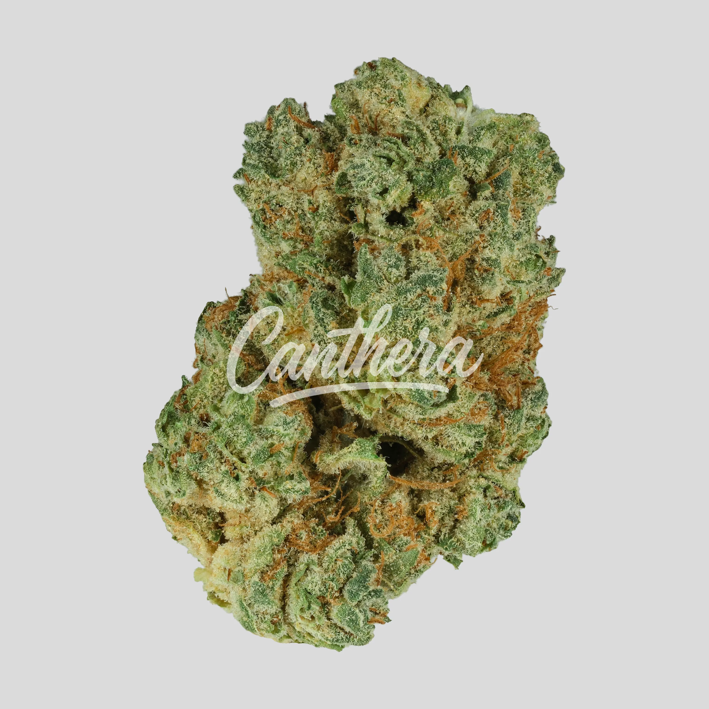 Huala 25/1 CA POG - Pineapple God