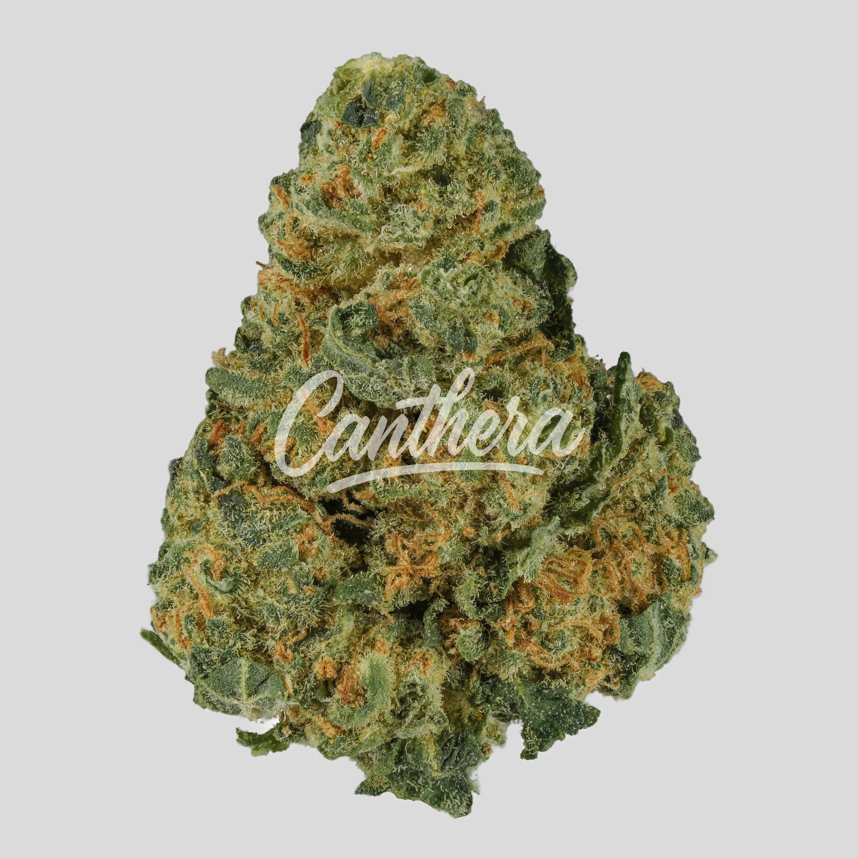 NICE 22/1 CC Cookies & Cream