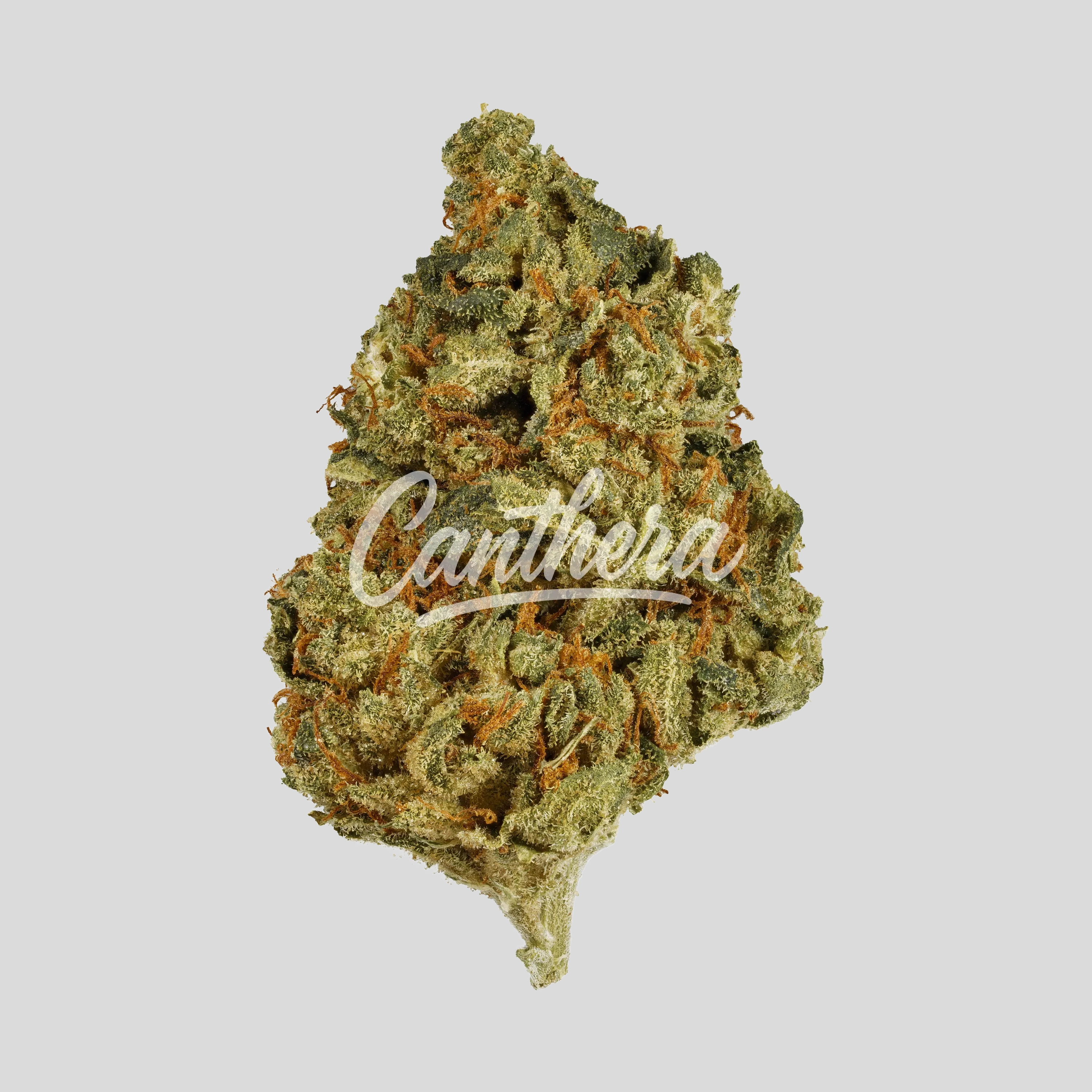 Candoro ethics 22:1 Hybrid OGK - OG Kush