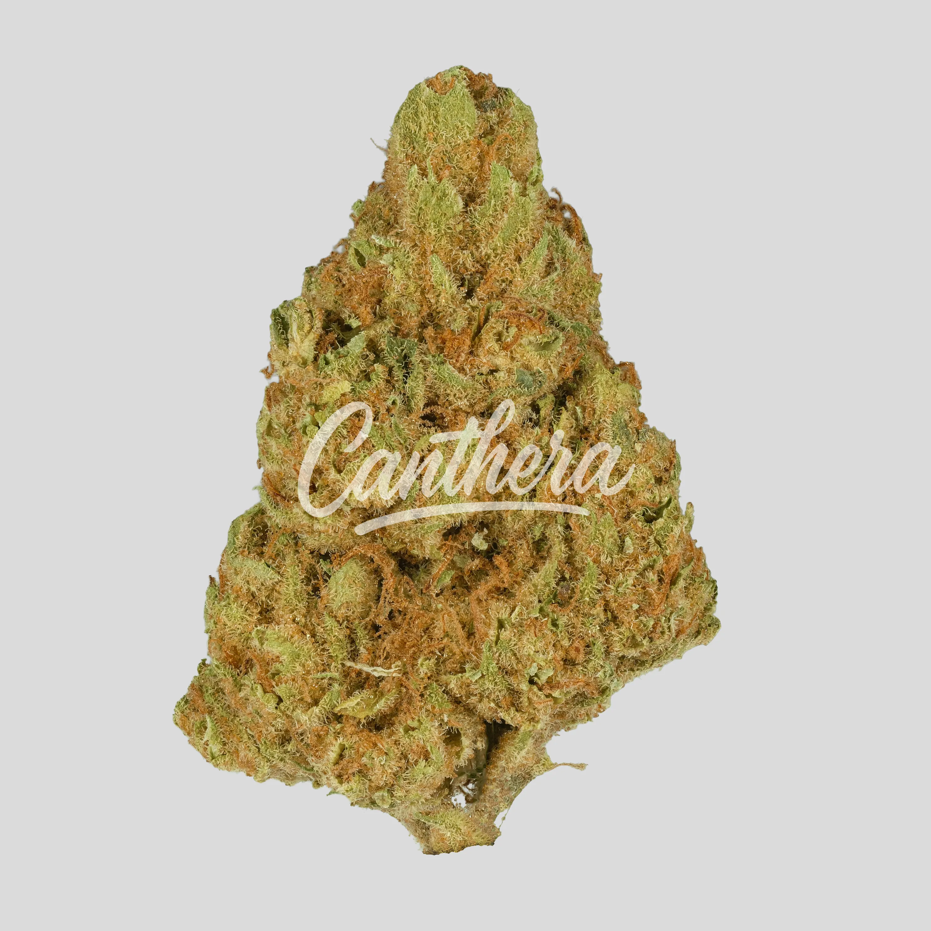 Remexian 30/1 RAS GRT - Green Thunder