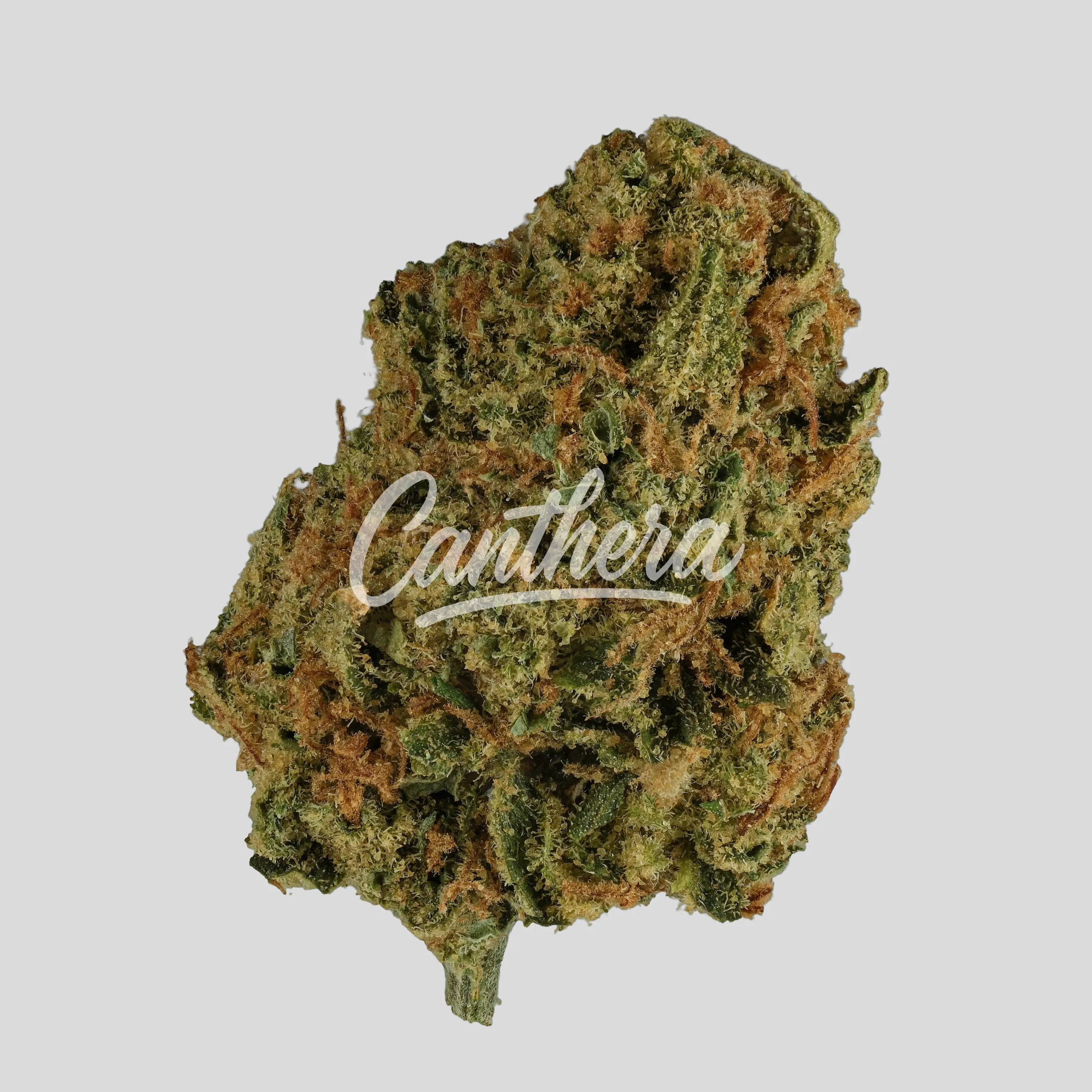Cannamedical Sativa Classic SA - Jack Herer