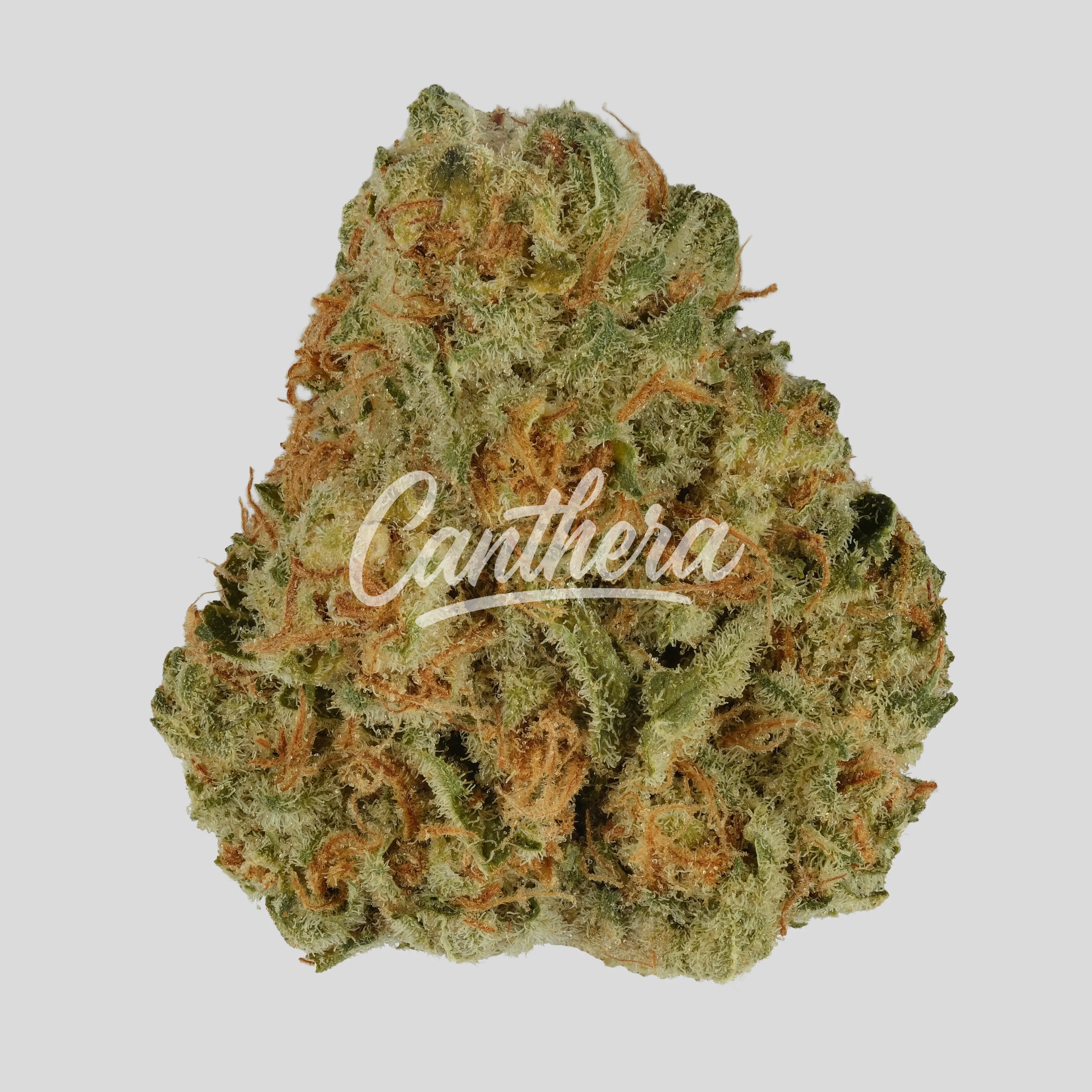 Demecan Core Sunshine Pure 22:01 - Tropicanna Cookies