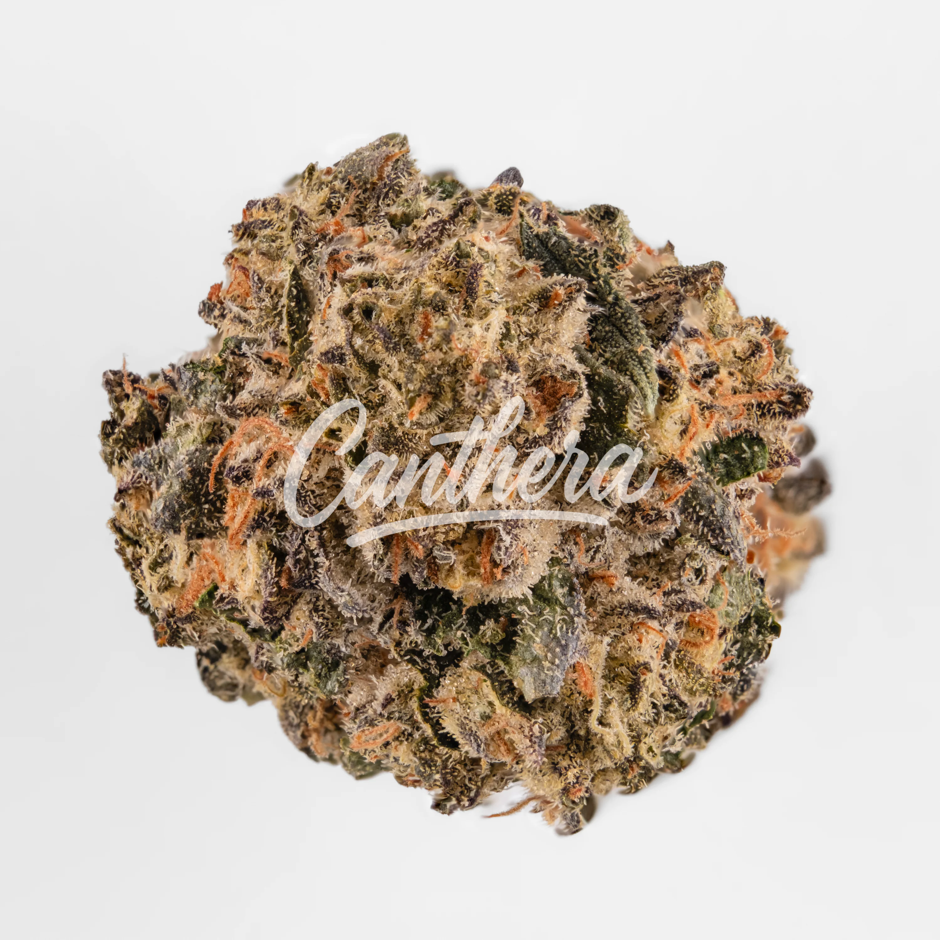 Remexian 35/1 GJY BPA Black Pave