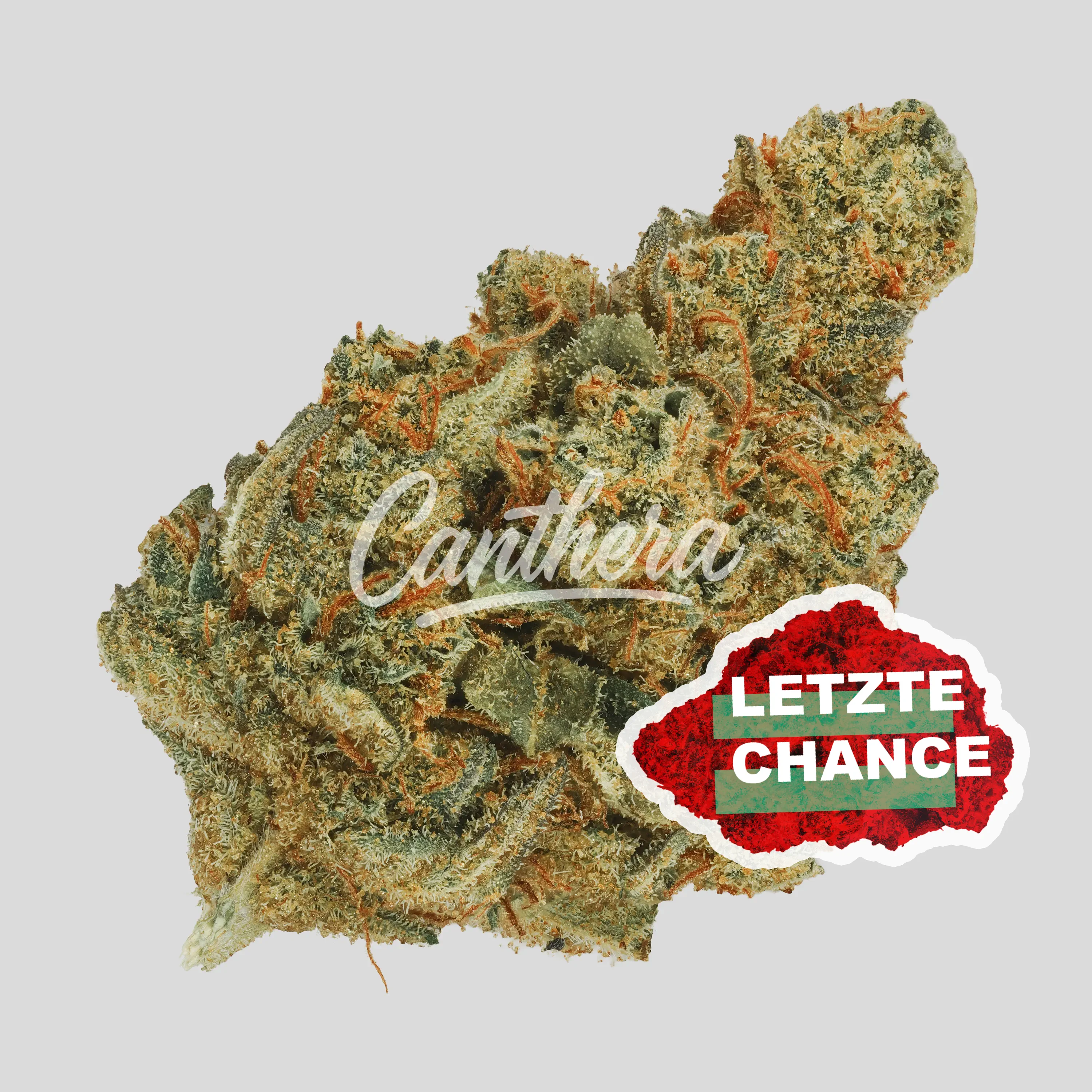 Cannamedical Indica Classic NM - Sugar Bomb Punch