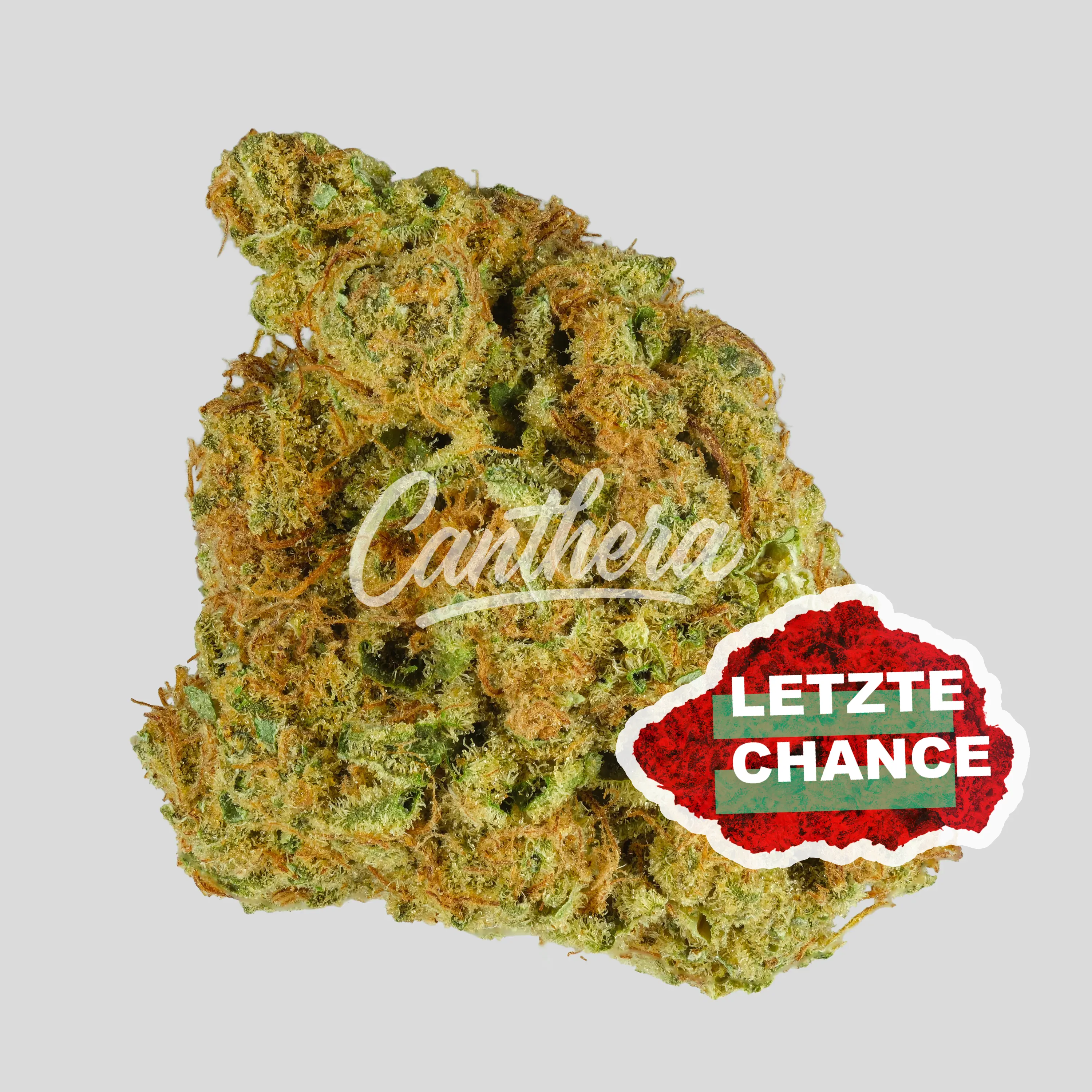 madrecan 21/1 - Granddaddy OG