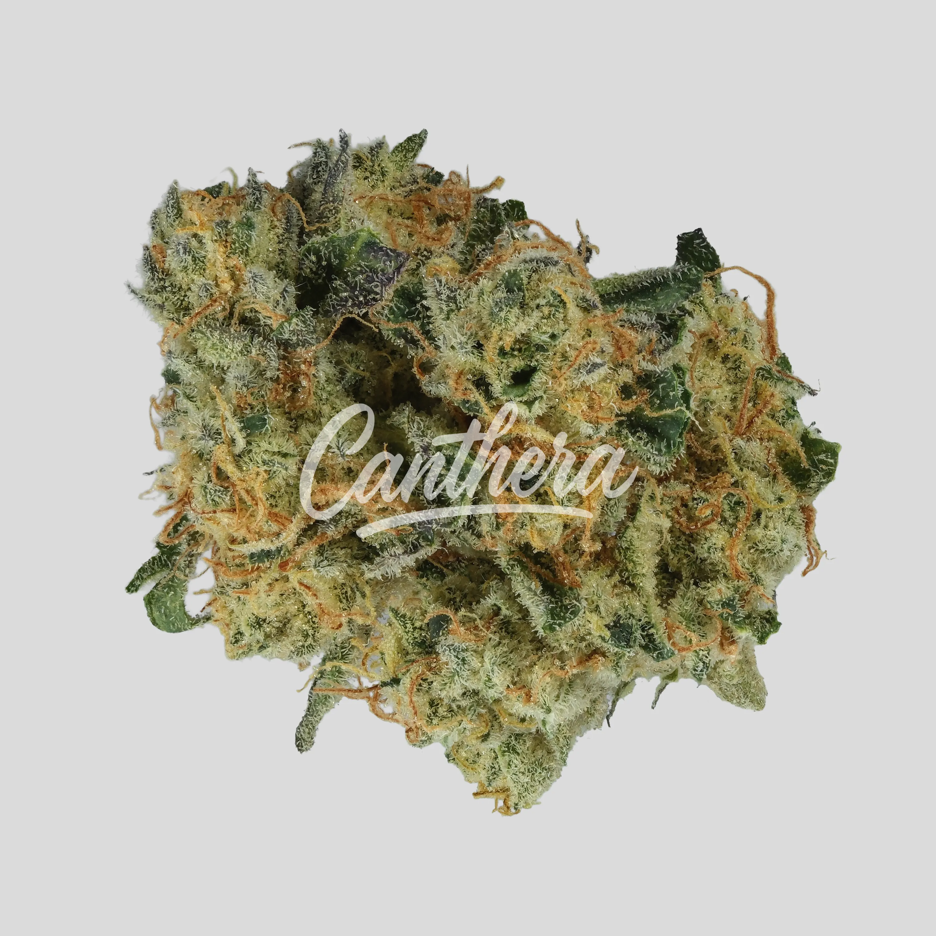 enua 30/1 TPM CA - Tropical Meltdown