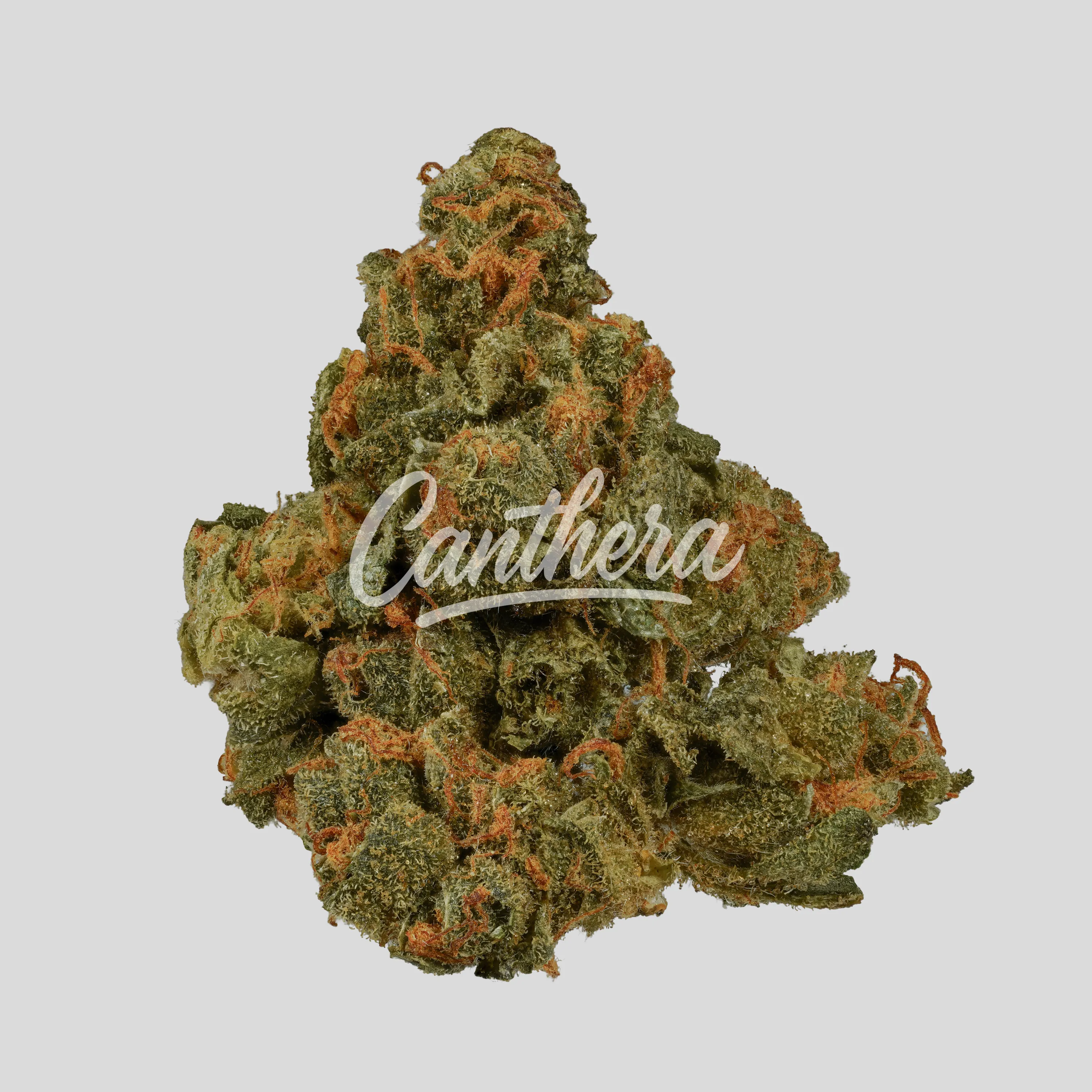 420 Evolution 25/1 CA - GMO Cookies