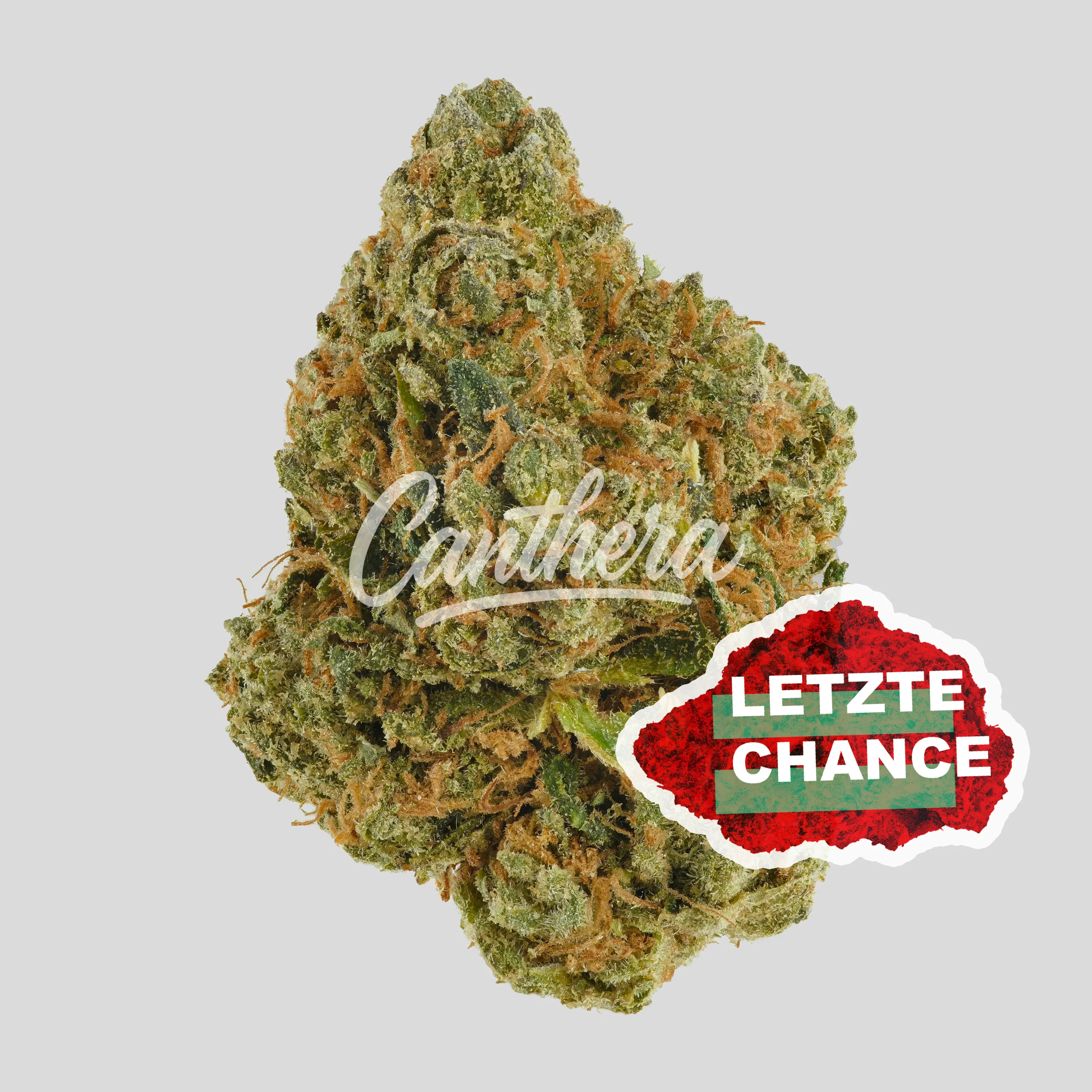 Huala 22/1 CA ALM - Alien Mints