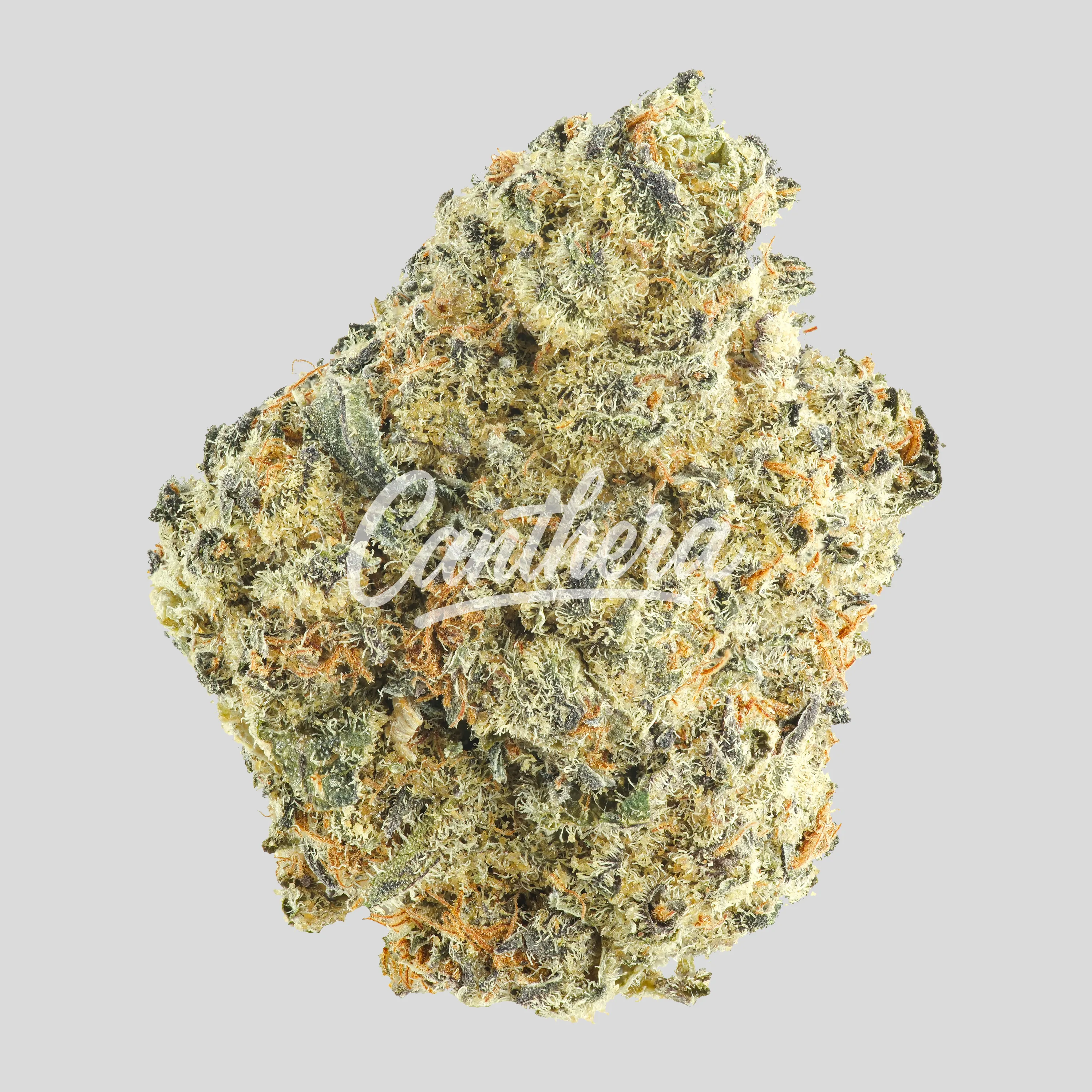 MC Regular Drop Secret Weapon X Cookies n Cream MC Regular Drop Secret Weapon X Cookies n Cream