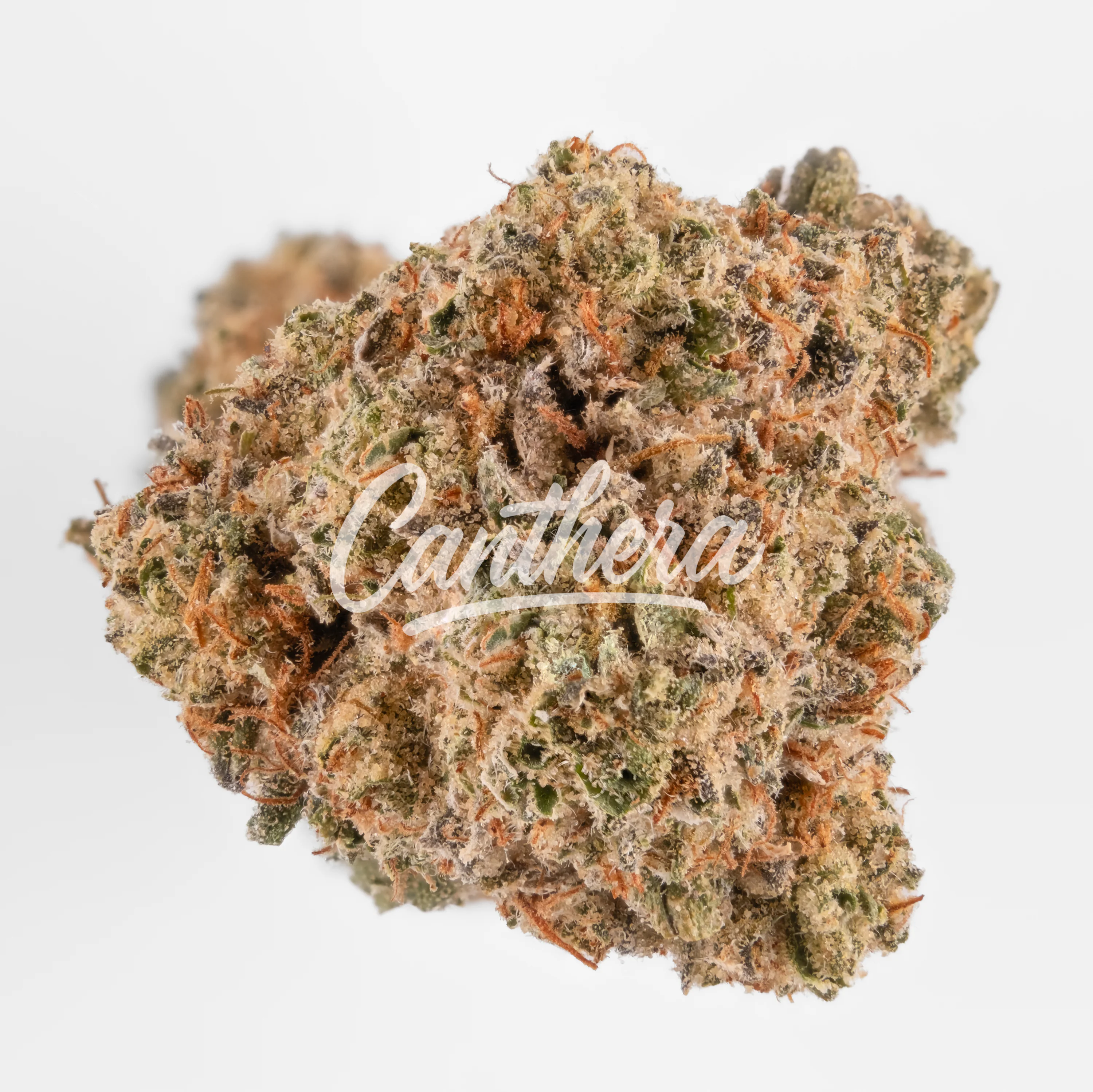 Remexian 27/1 GCC THZ The Zoap