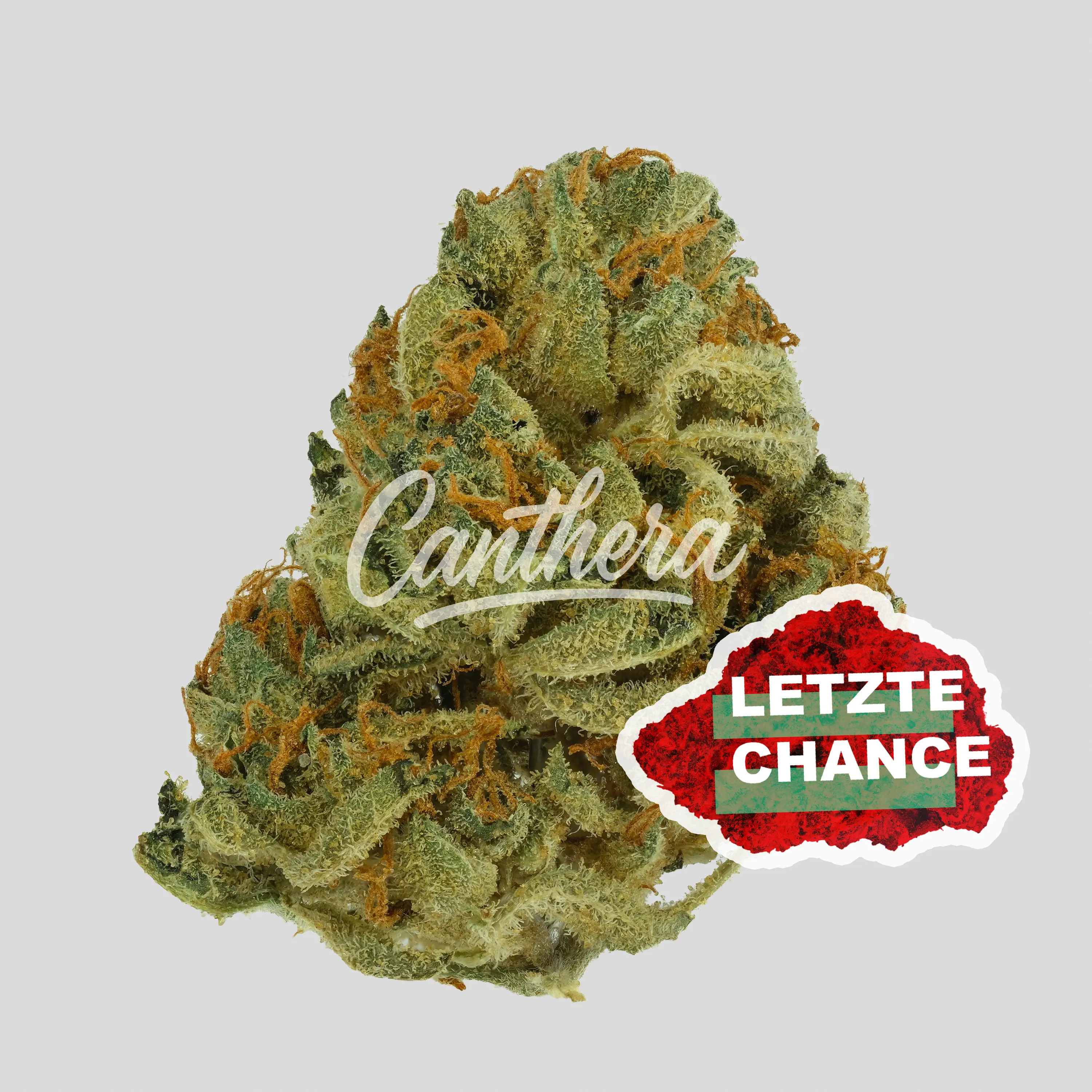 NICE 20/1 LMJ - Lemon Jane