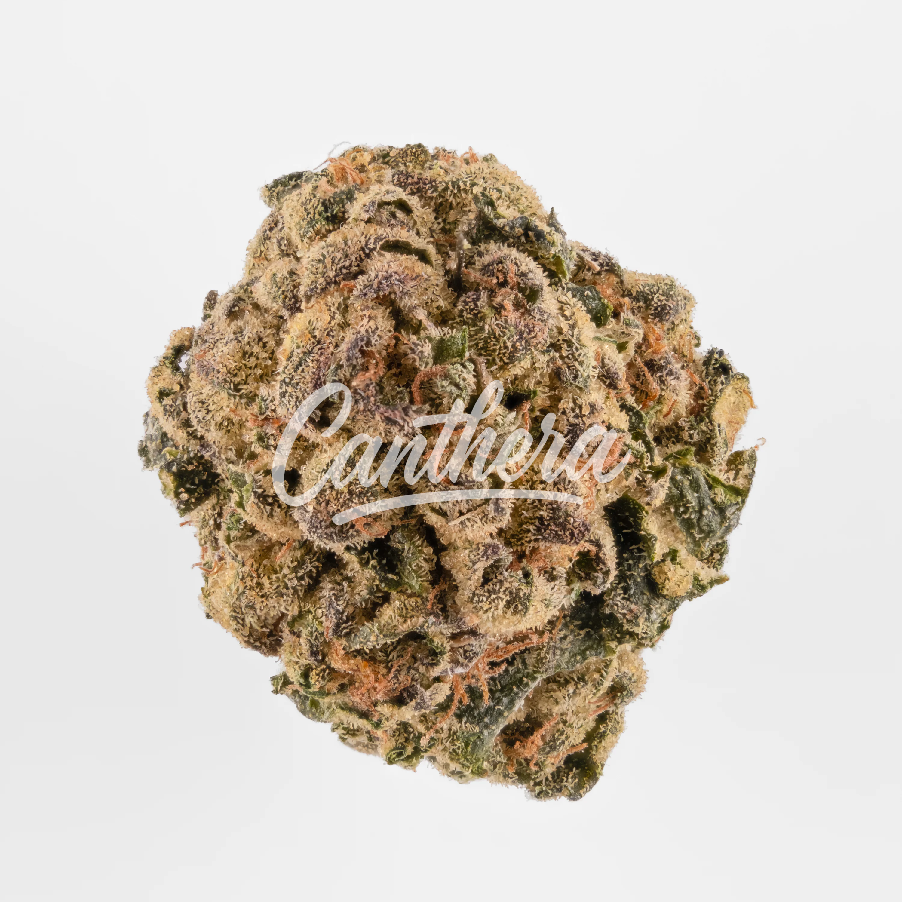 Curaleaf Natural 27/1 PT WPT Wedding Pop Triangle Curaleaf Natural 27/1 PT WPT Wedding Pop Triangle