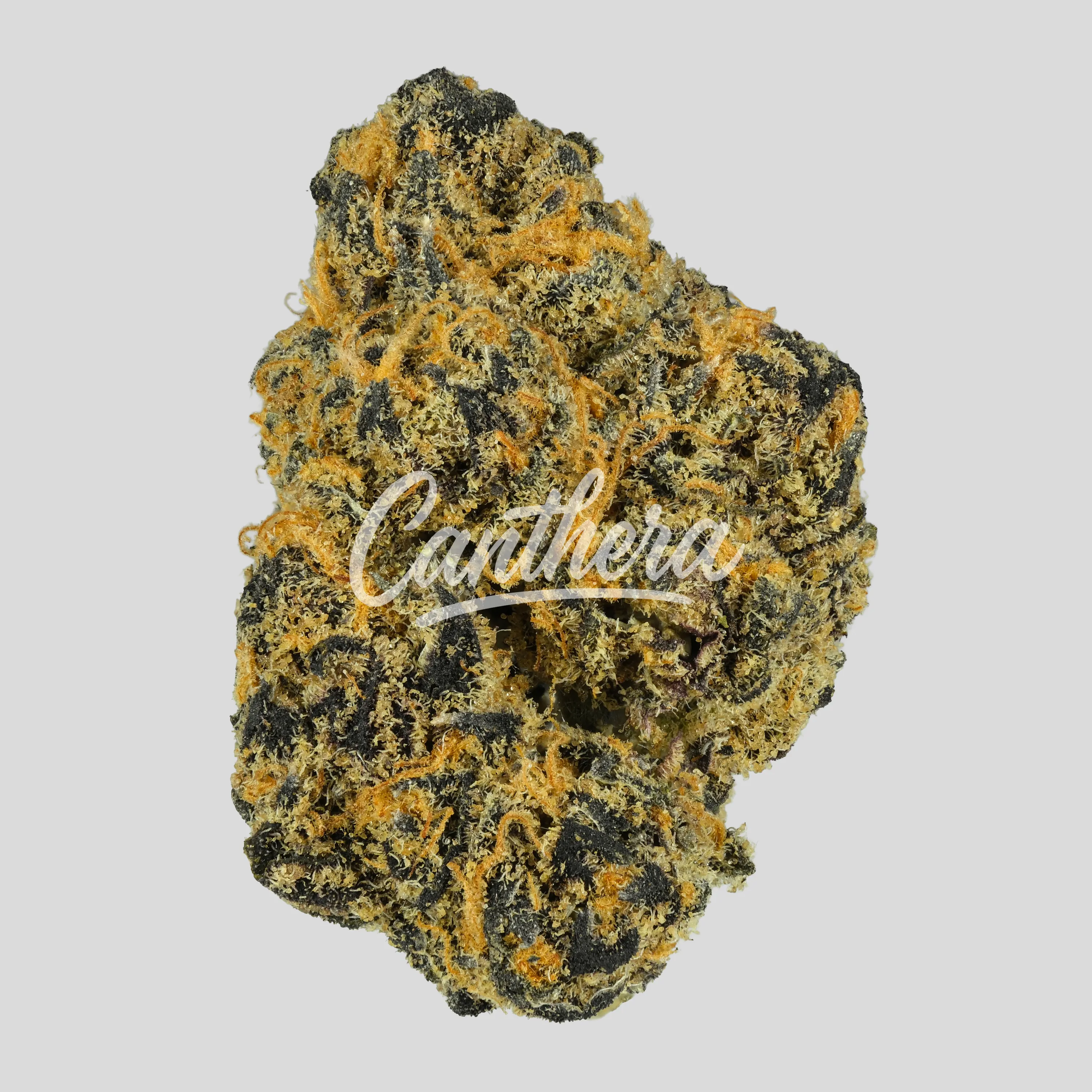 Cookies 2.0 Cereal Milk 26/1 CAN CM