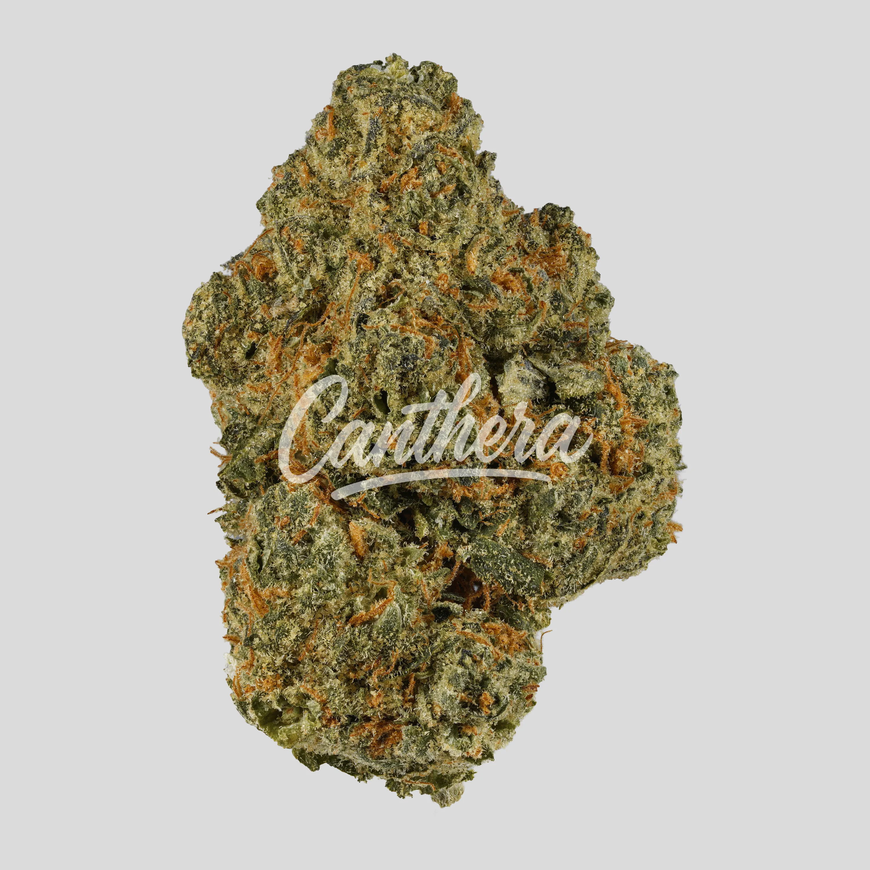 enua 30/1 SF4 CA CGG - Cherry Gelato Gushers