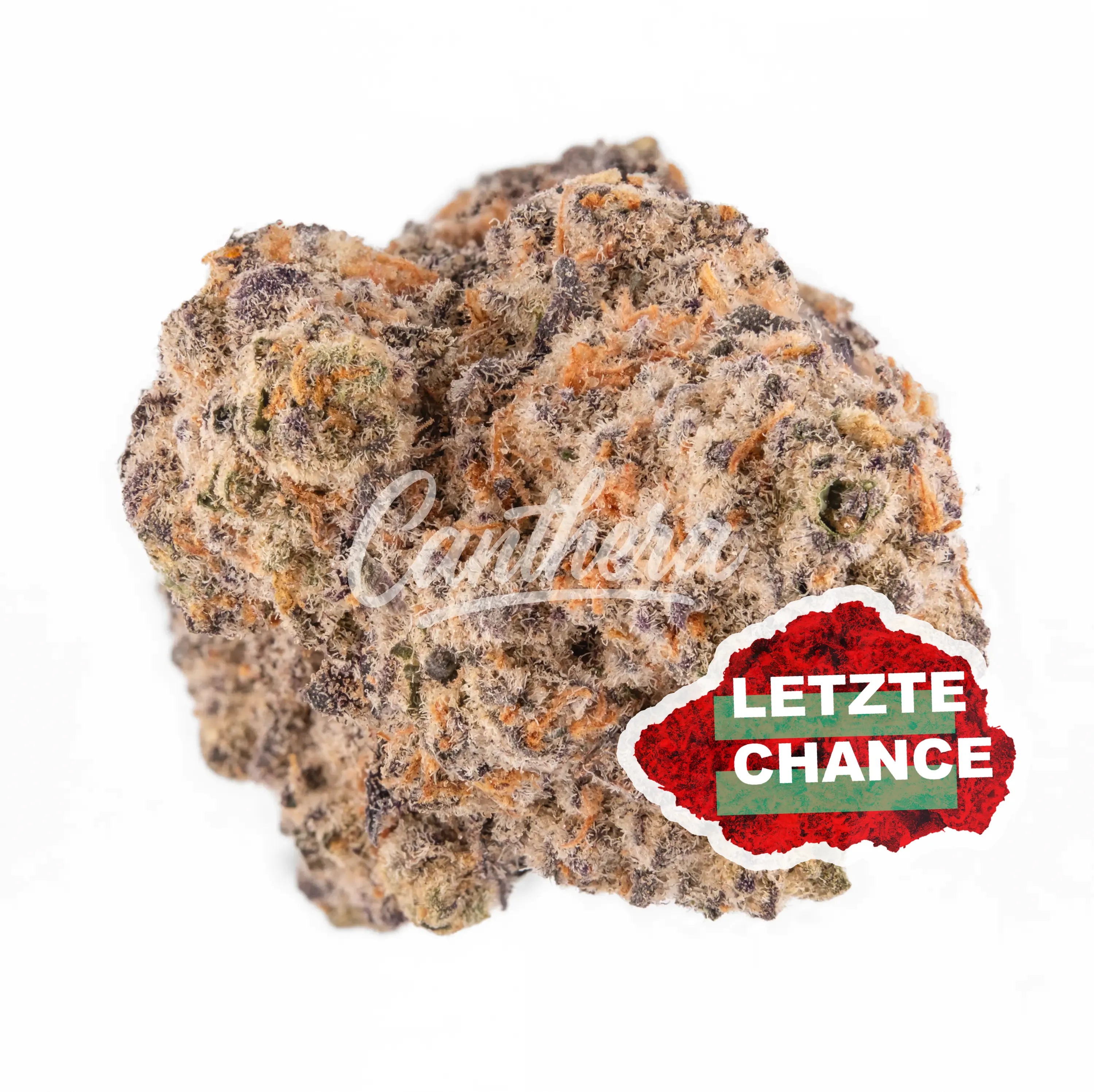 Enua 22/1 MAC F CA - MAC Flurry