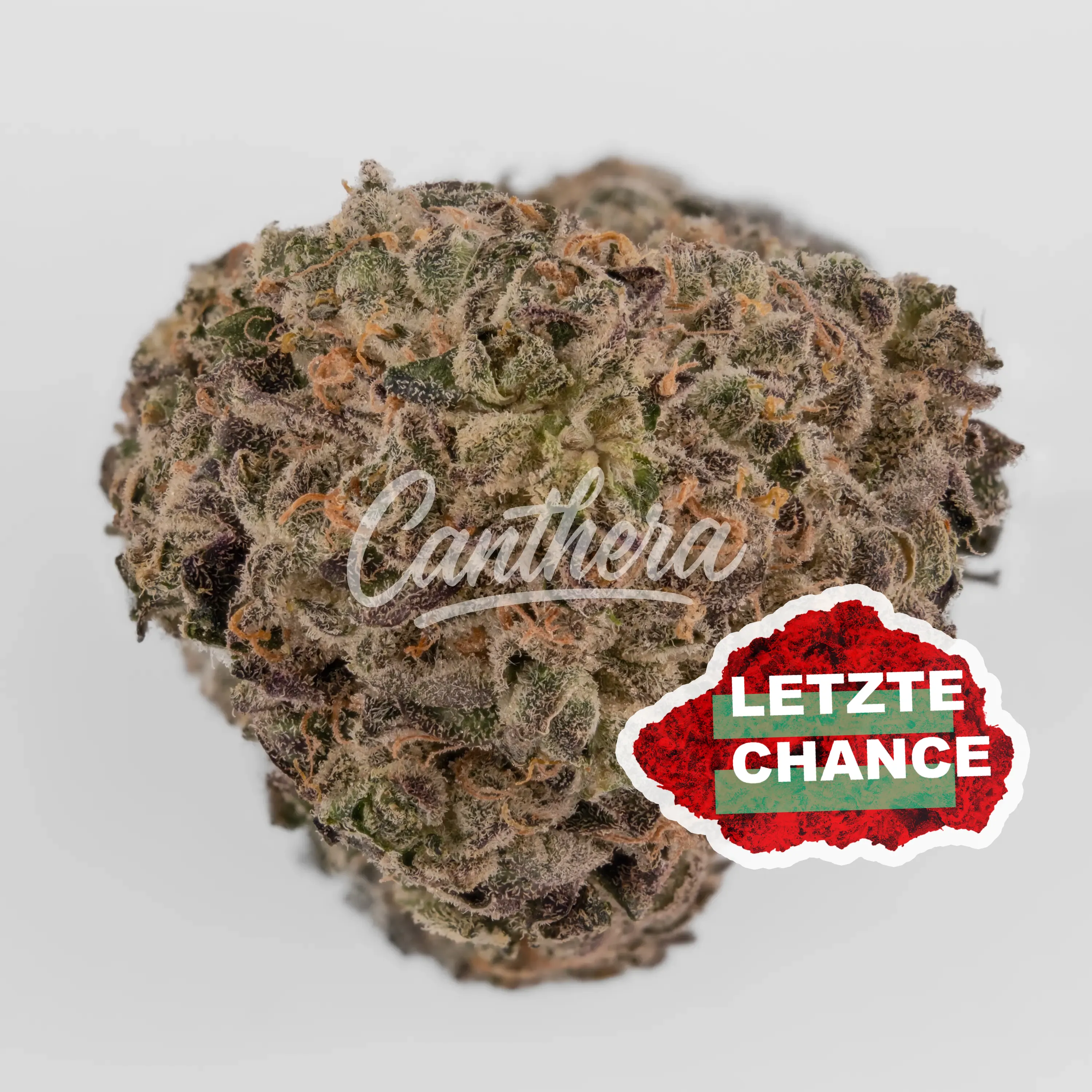 Demecan Core Moonbow 23/1 - Moonbow 112 IX