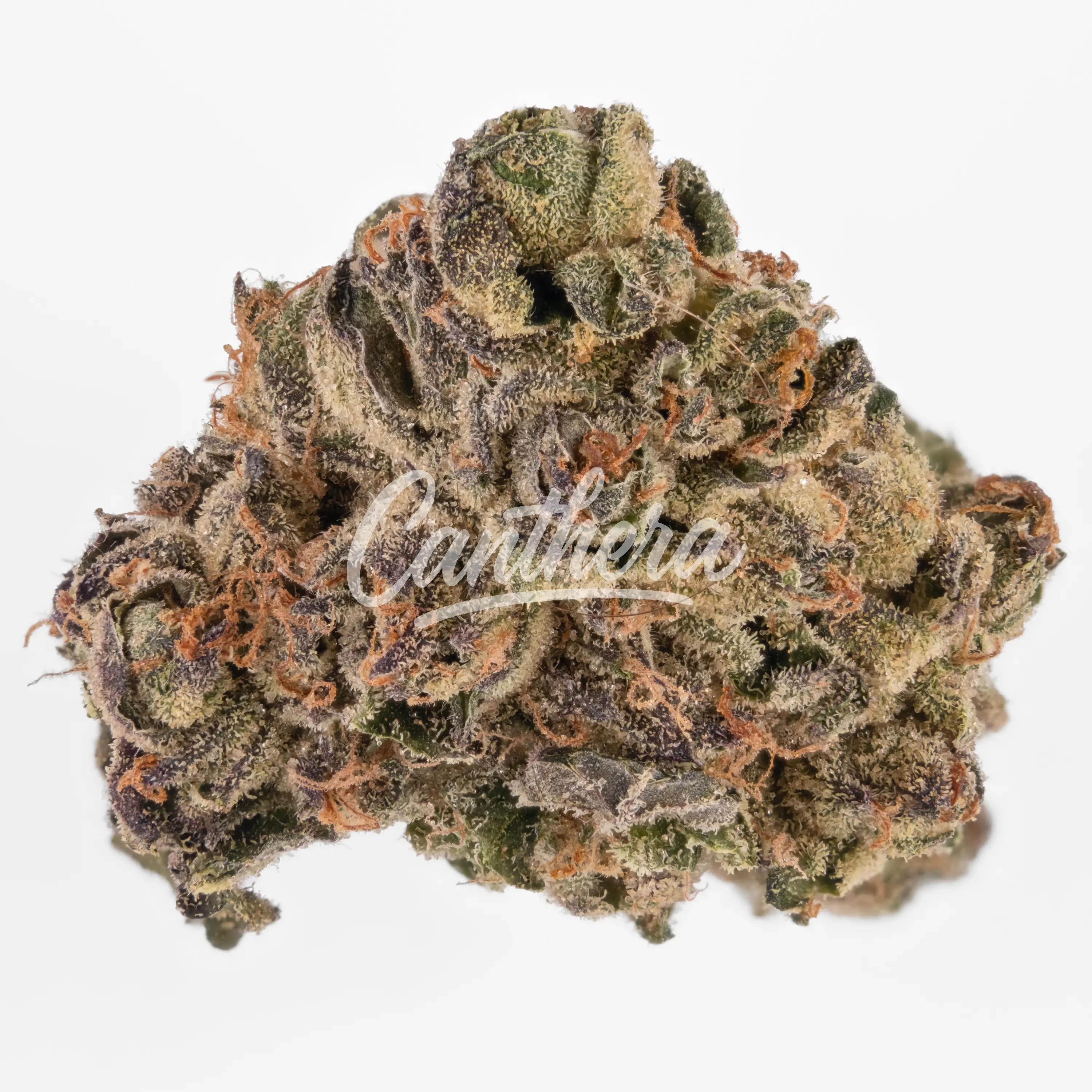 Demecan Core ICC 22:01 Ice Cream Cake Demecan Core ICC 22:01 Ice Cream Cake