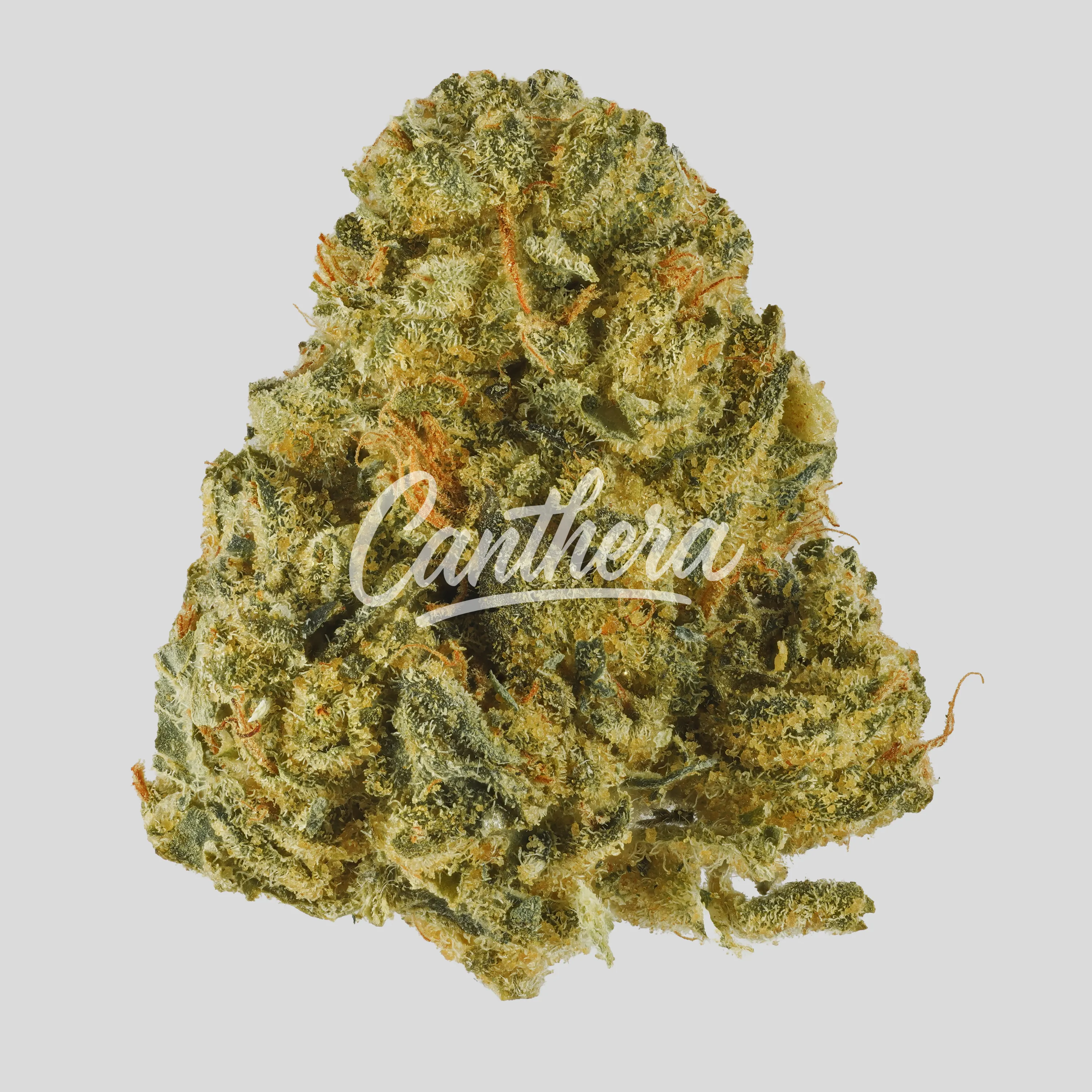 Canopy KMI 30/1 Kush Mints - Kush Mintz