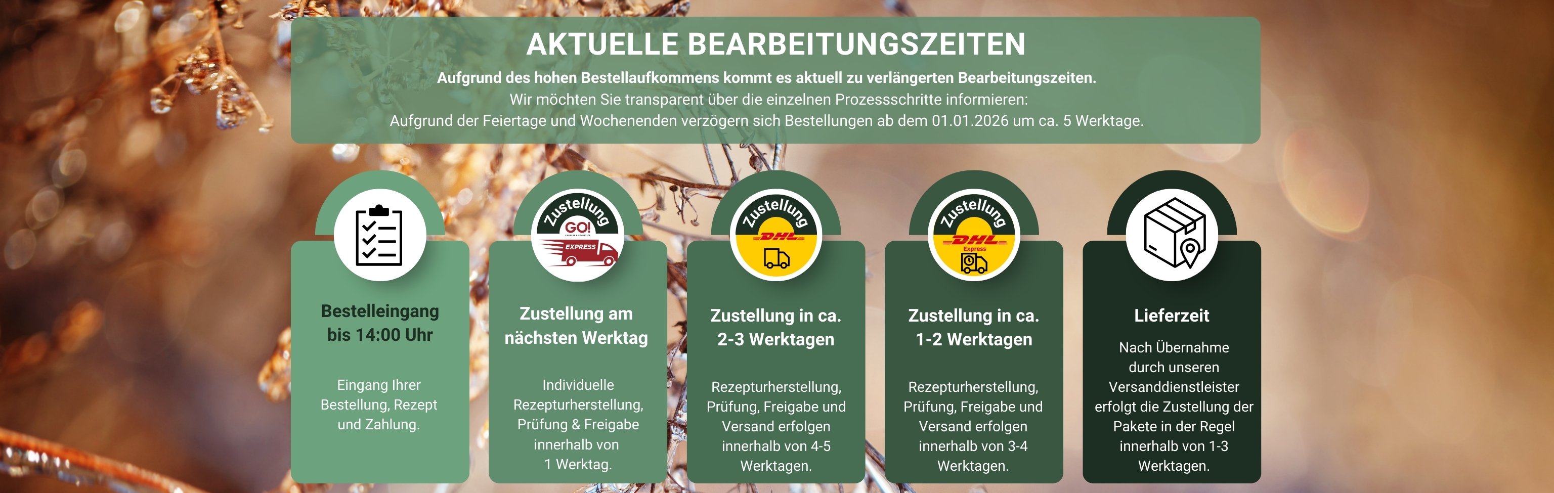 Canthera-Startseite-Info-Lieferzeit-05-01-2026