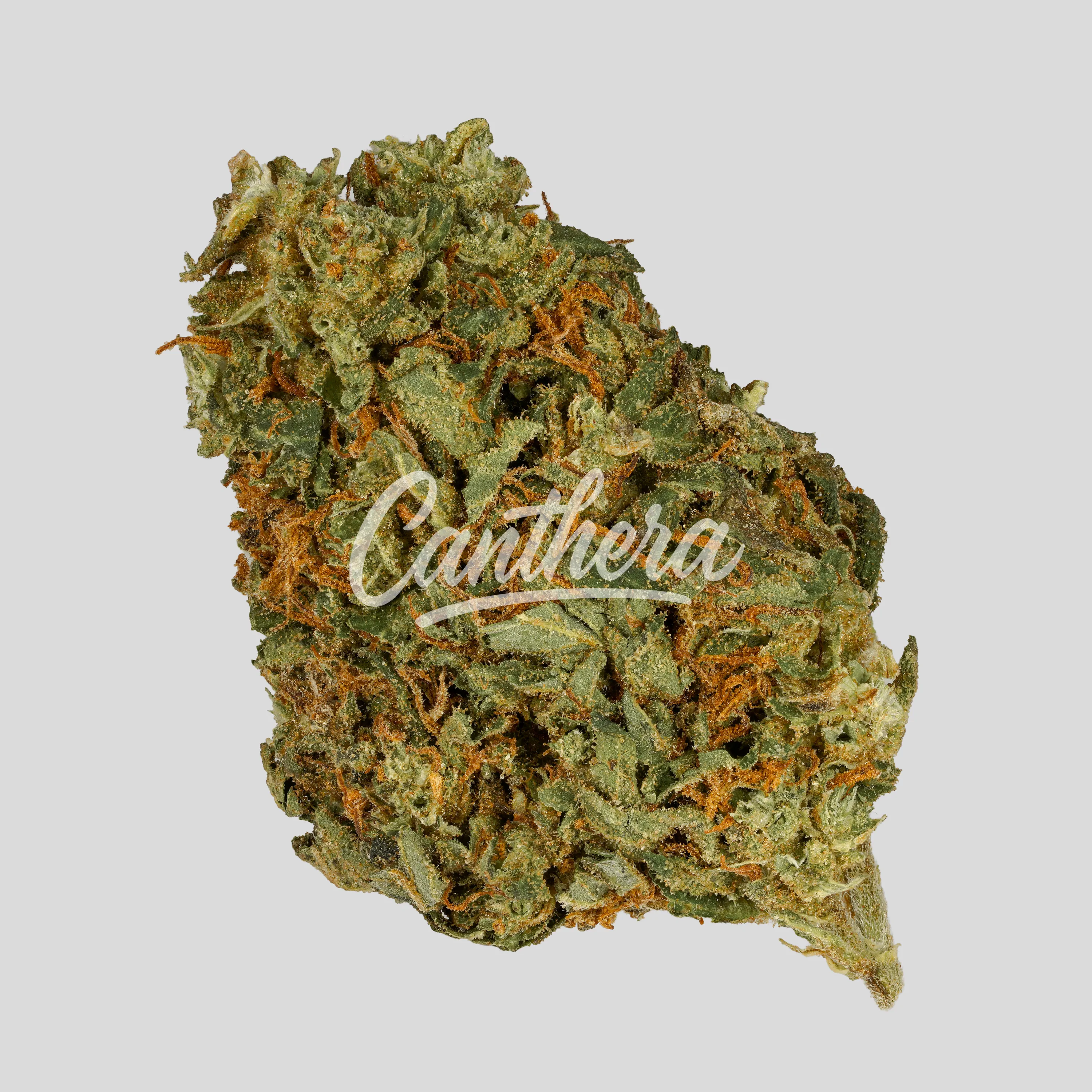 IMC OOG THC28 - Outdoor OG Kush IMC OOG THC28 - Outdoor OG Kush