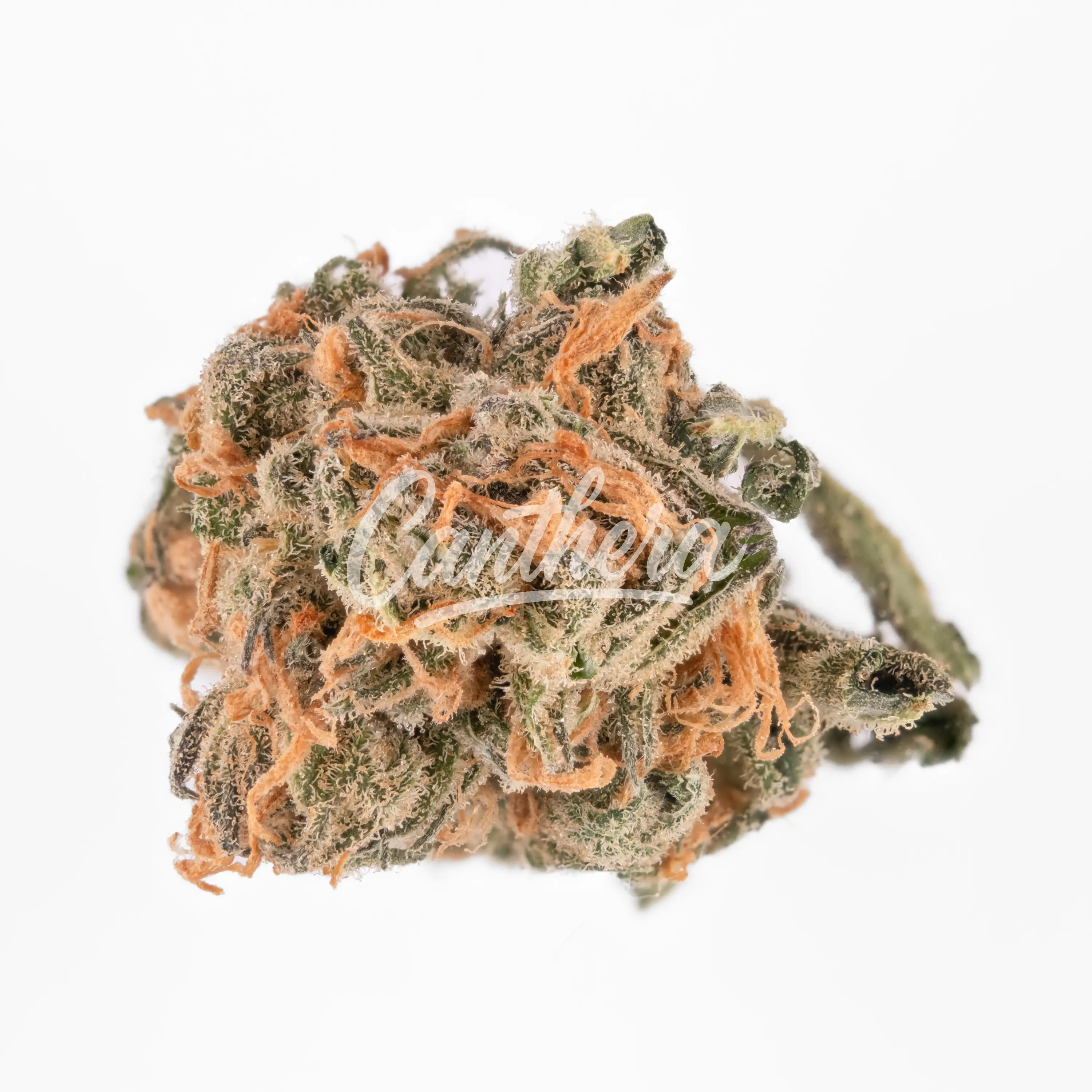 IndiMed 20/1 ISS - DE - Island Sweet Skunk