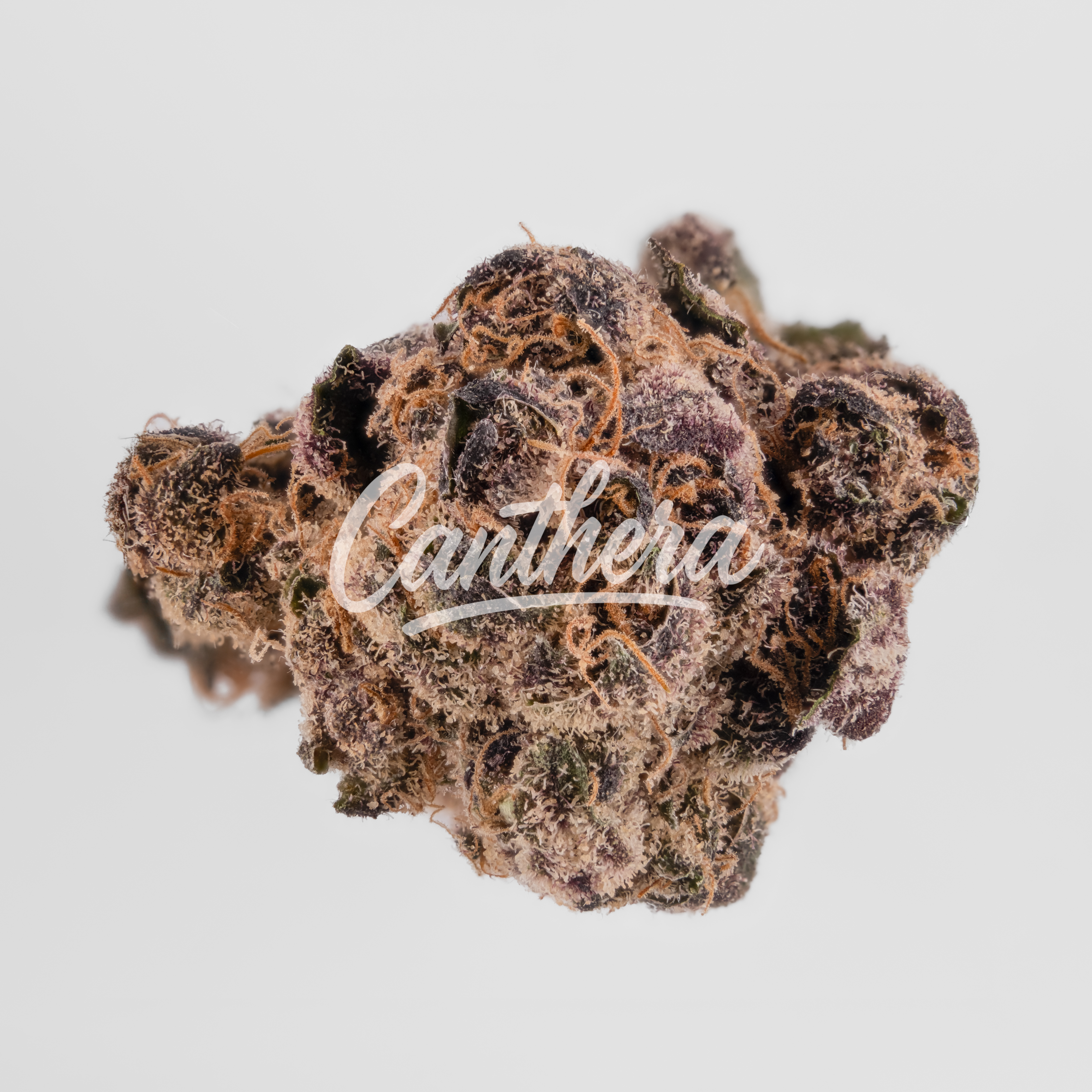 420 Natural 17/1 CA TRP - TRP