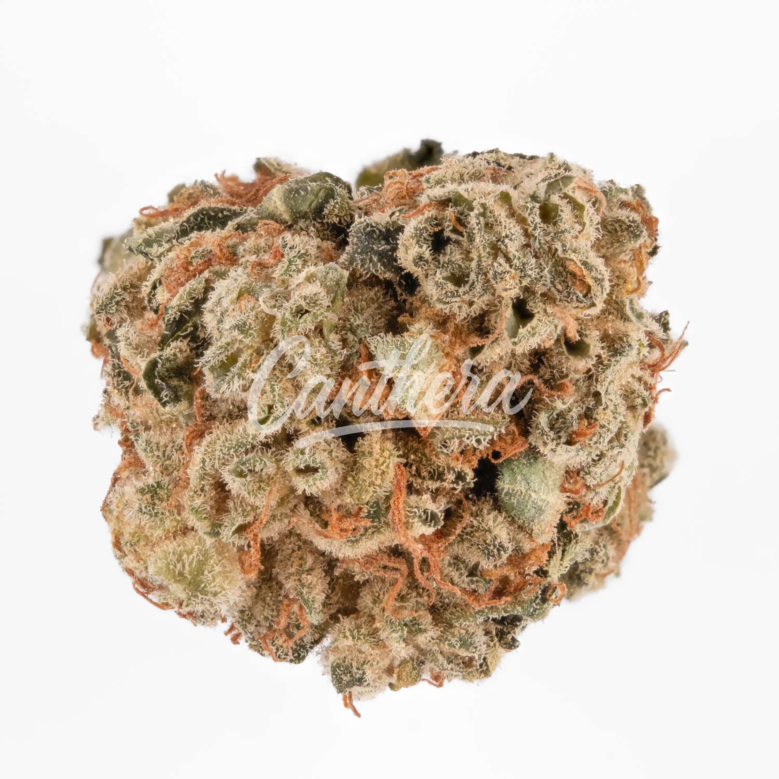 DEMECAN Typ 1 Bubba Kush DEMECAN Typ 1 Bubba Kush