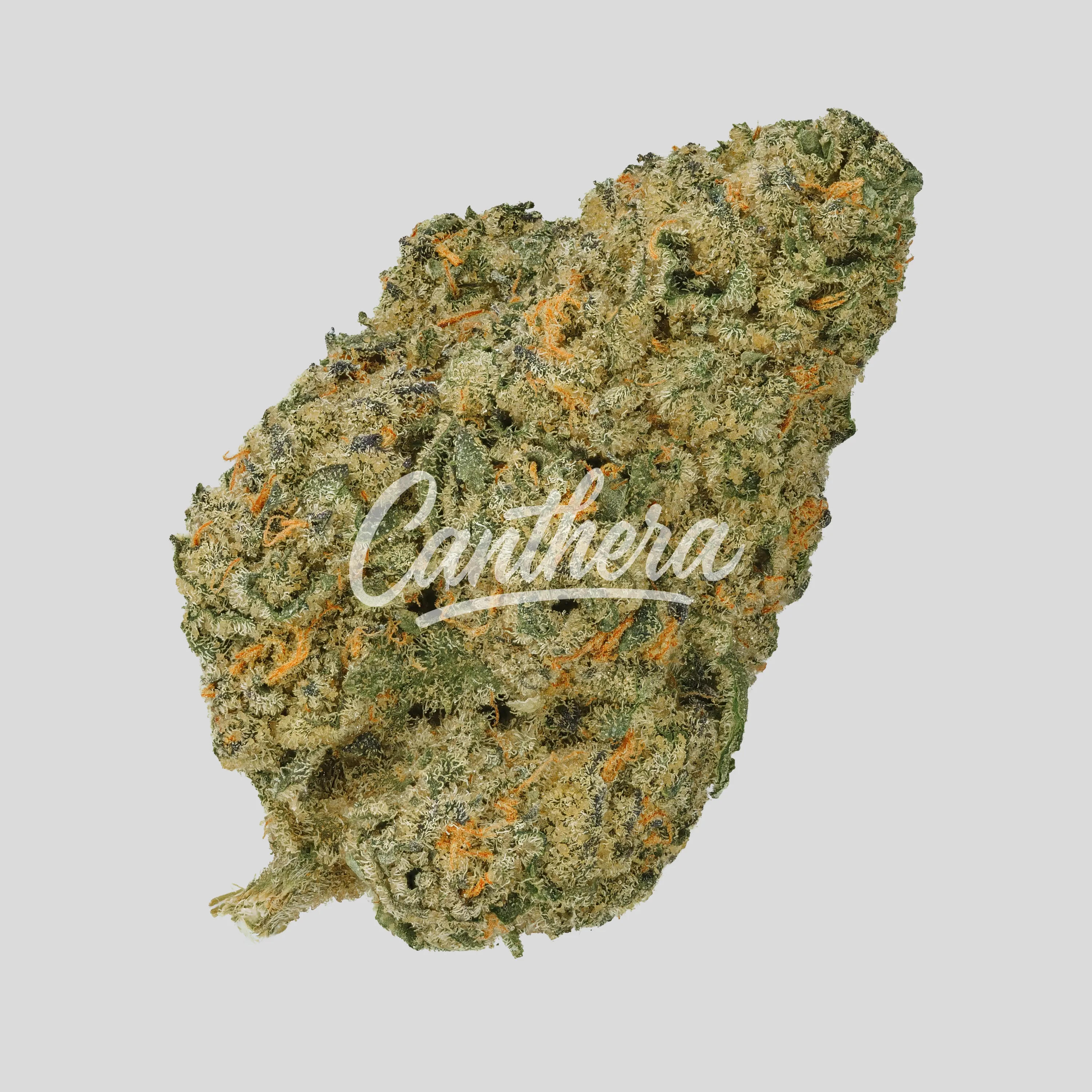 enua 30/1 MMN CA - Marshmallow Man