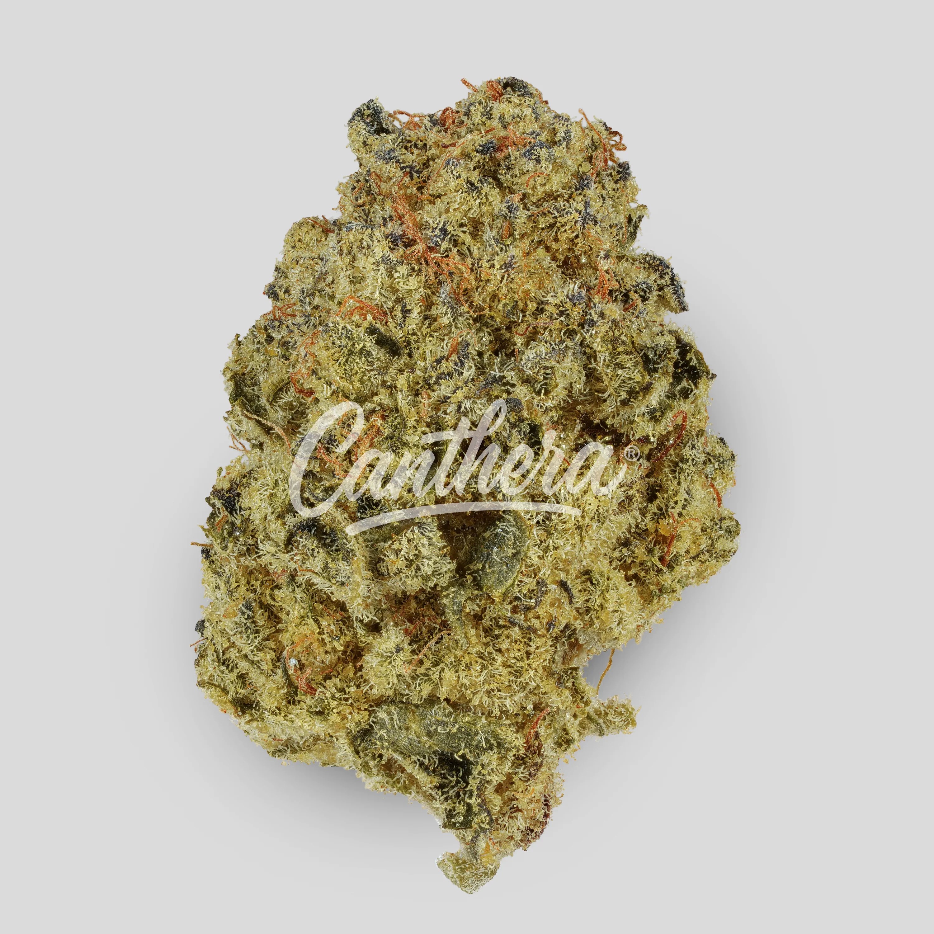 Curaleaf Natural 25/1 PT LVC - Lavender Cake