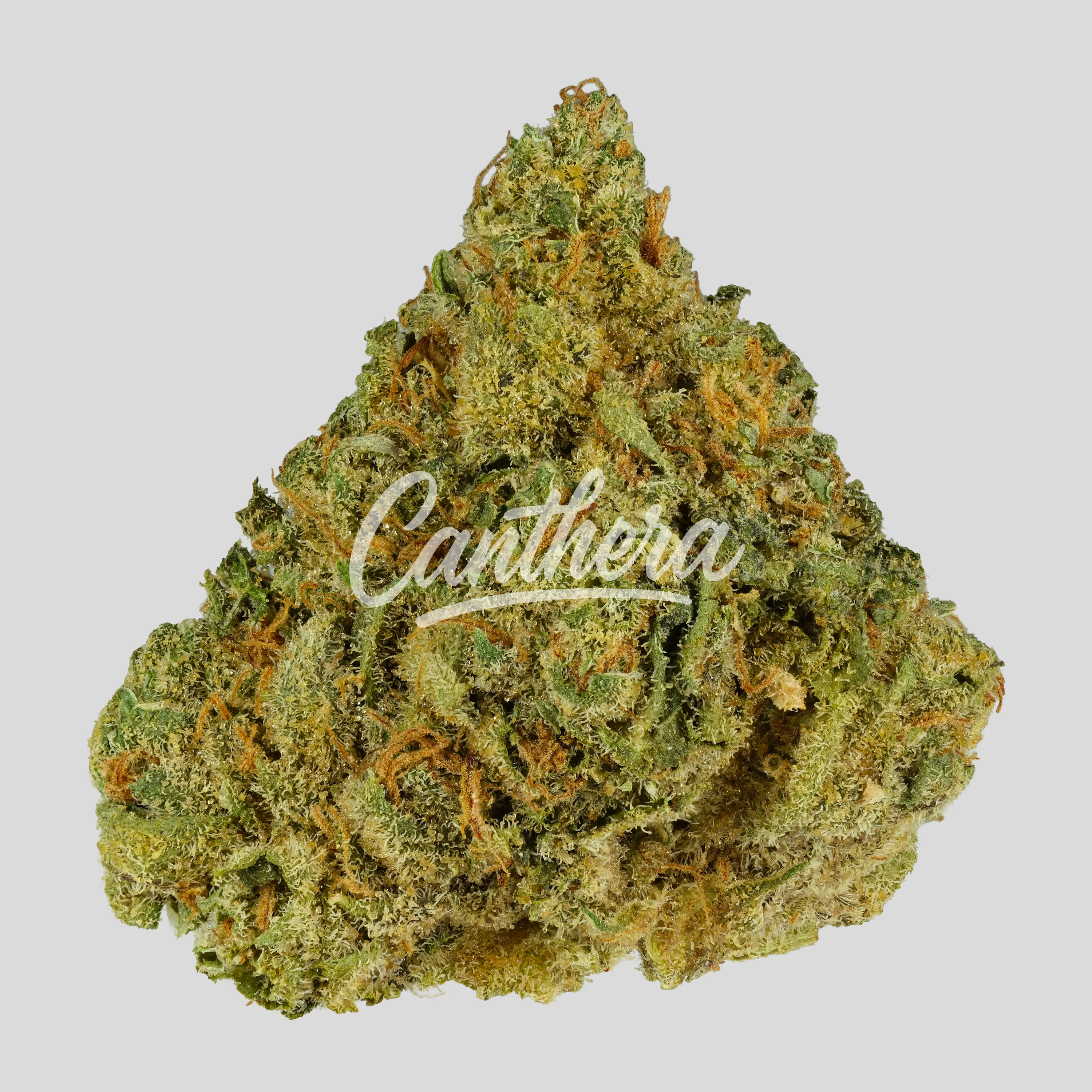 Demecan Craft Pulso 31:01 - Liquid Imagination