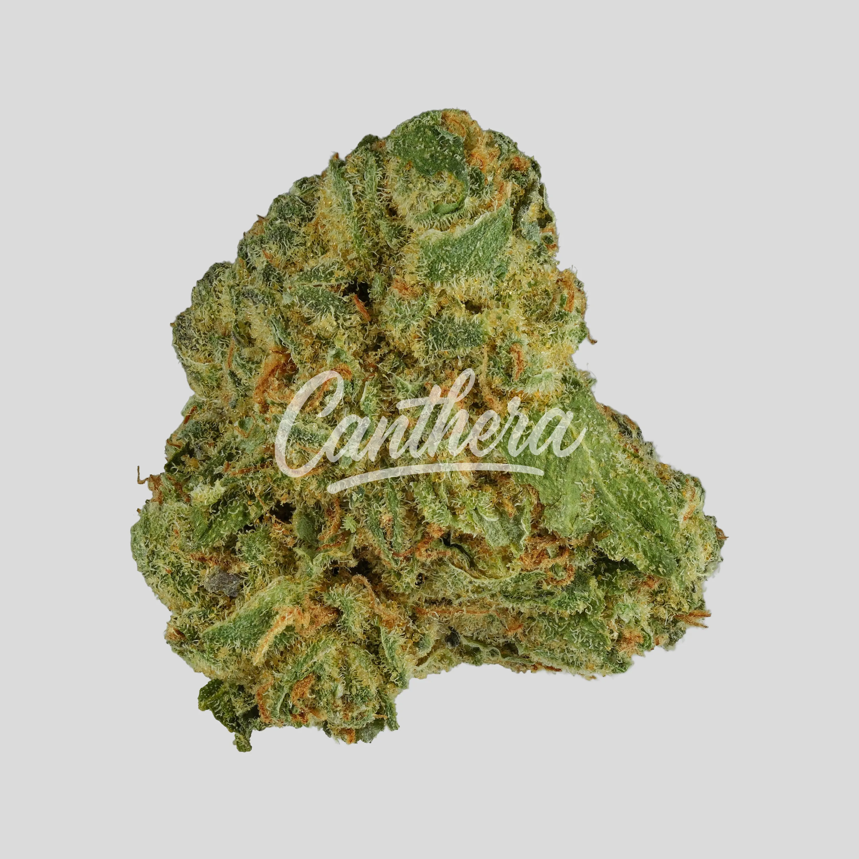 Cannamedical Indica Classic SF - Royal Berry