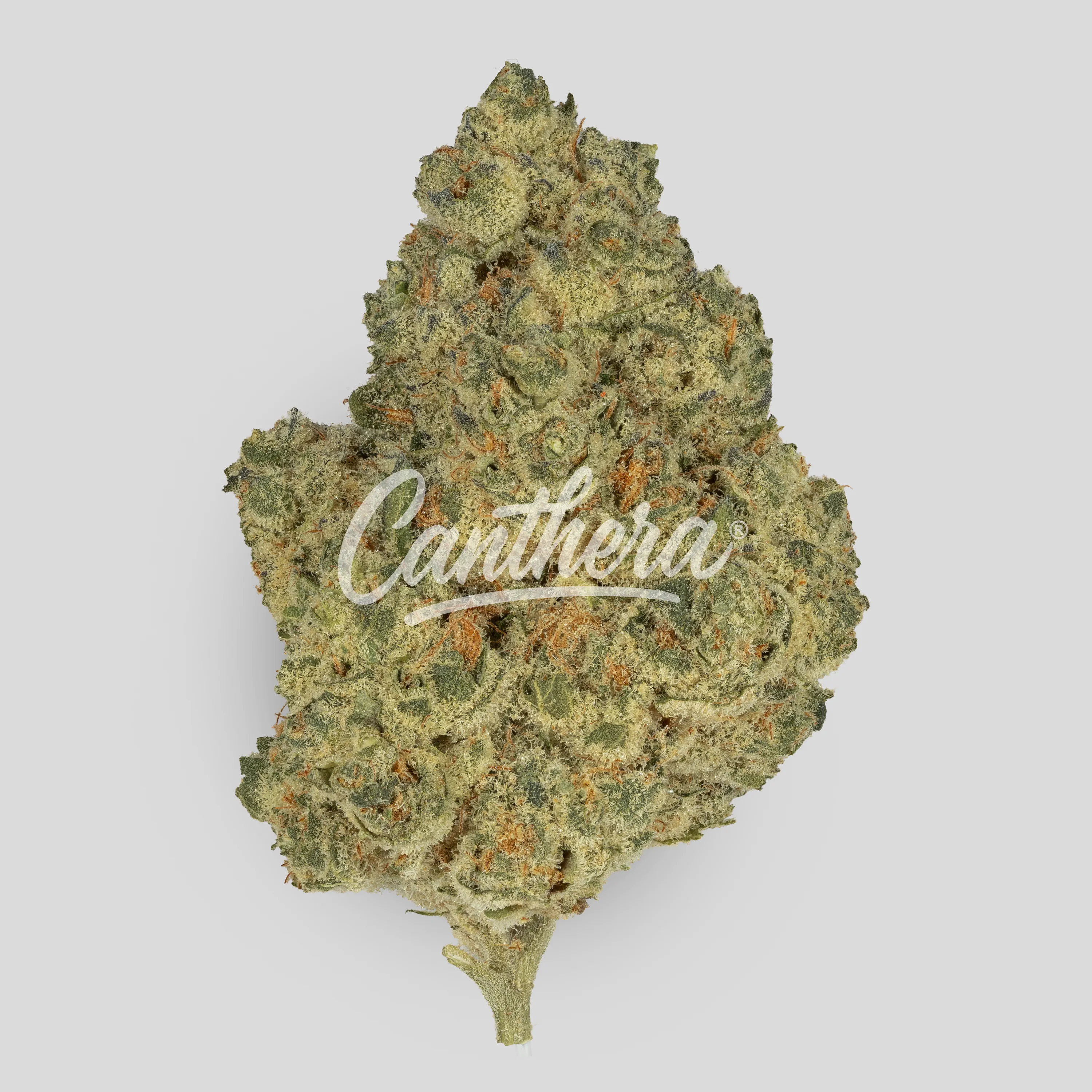 enua 27/1 PS3 CA MYC - Minty Cookies