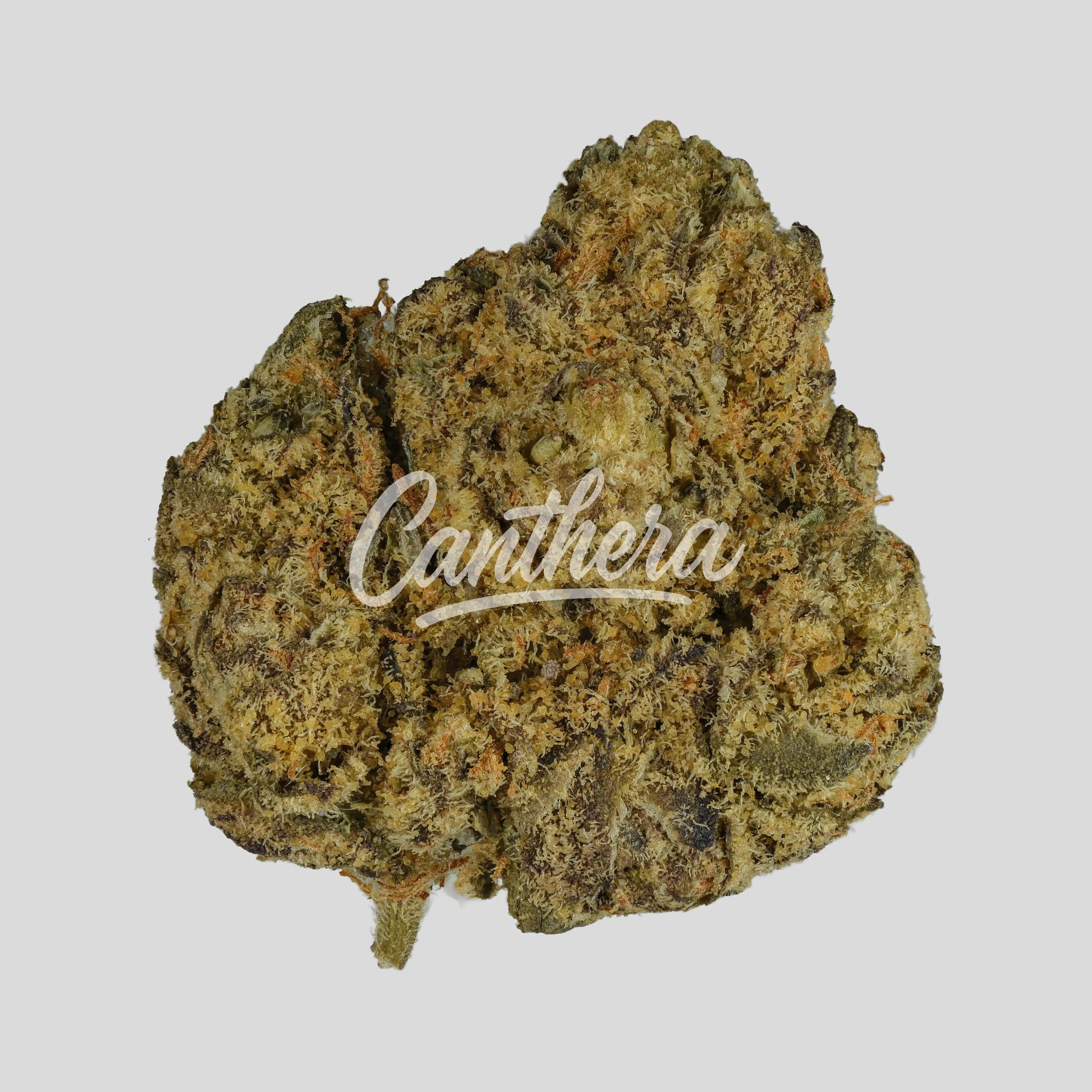 187 Cannabisflower PPP THC22 classics - Phantasia Purp