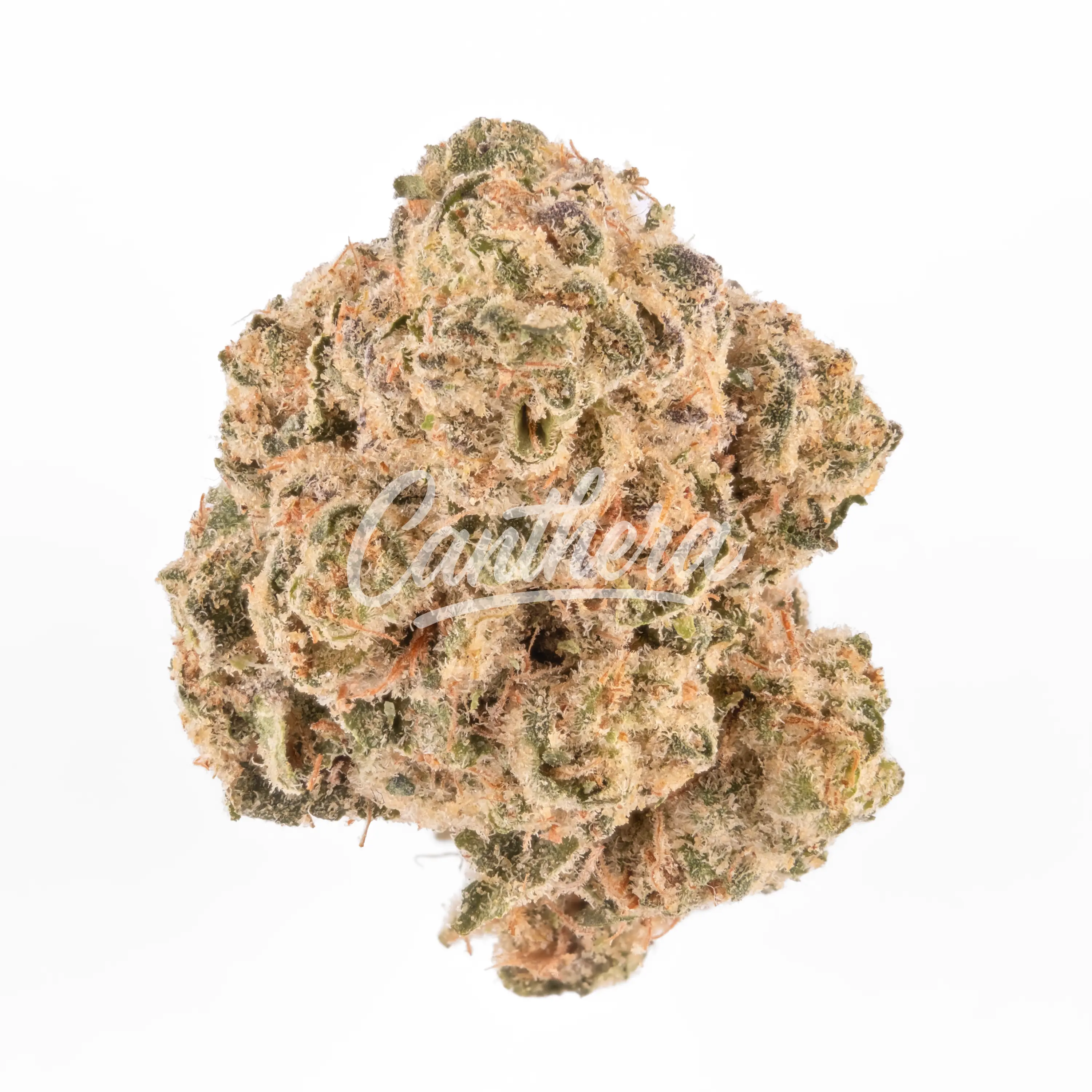 Enua 22/1 SAM CA - Super Alien Mints