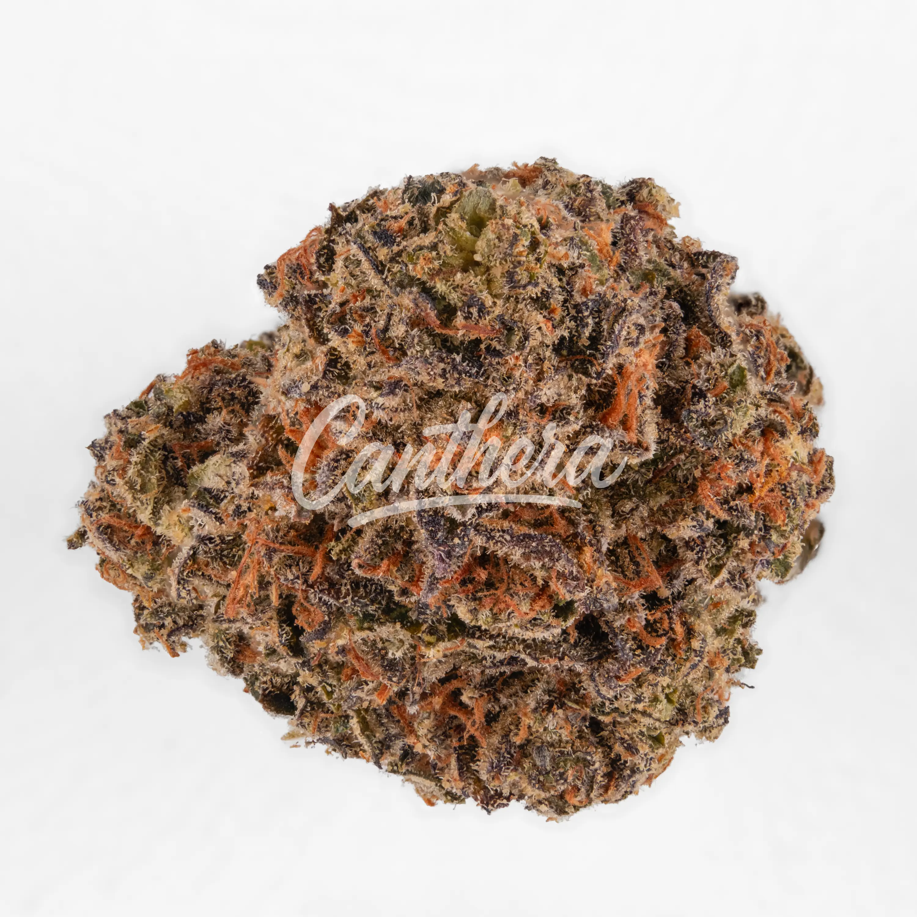 420 Compound 25/1 PT TGY - Tigerz Eye