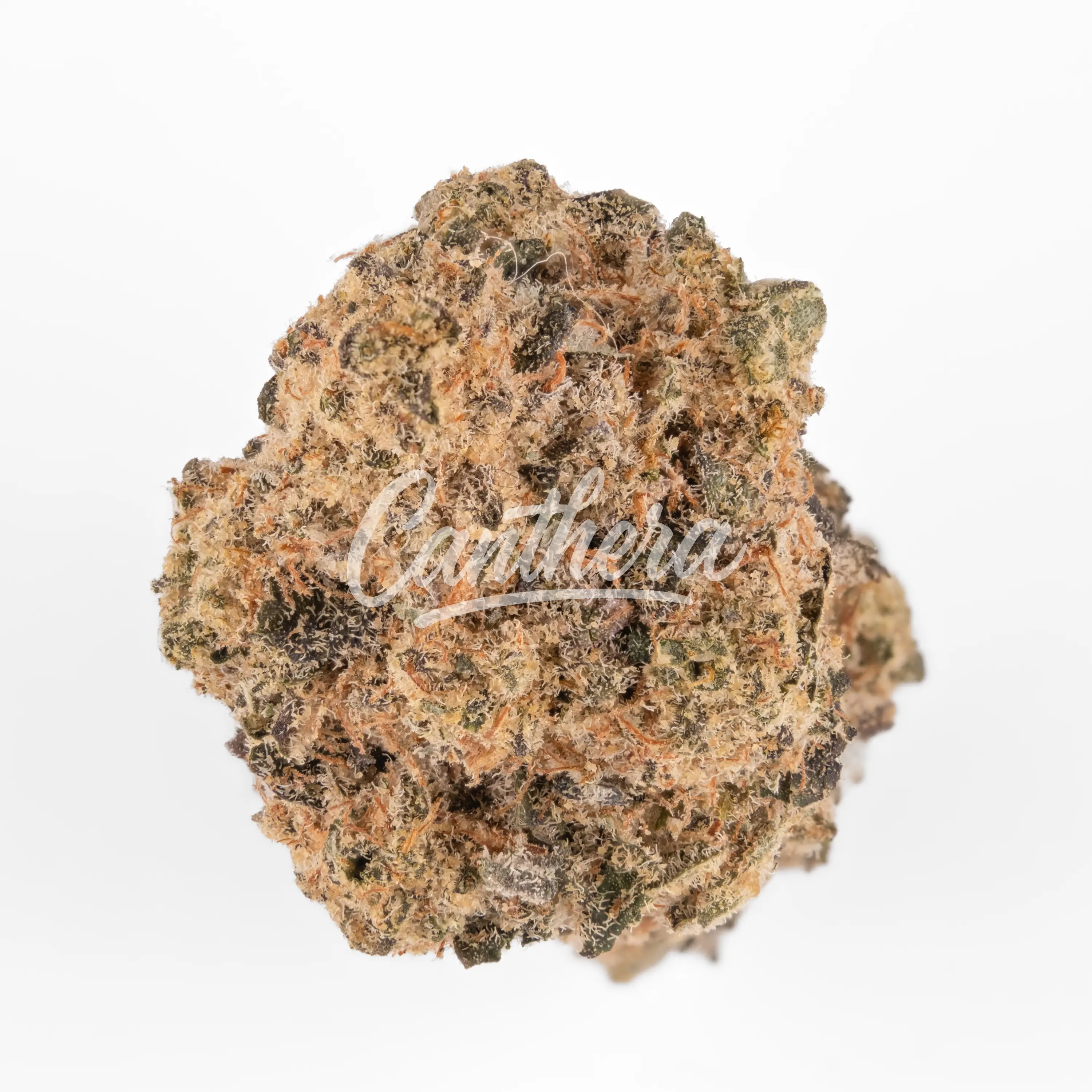 Cannamedical CM 28/1 PO - Platinum Oranges