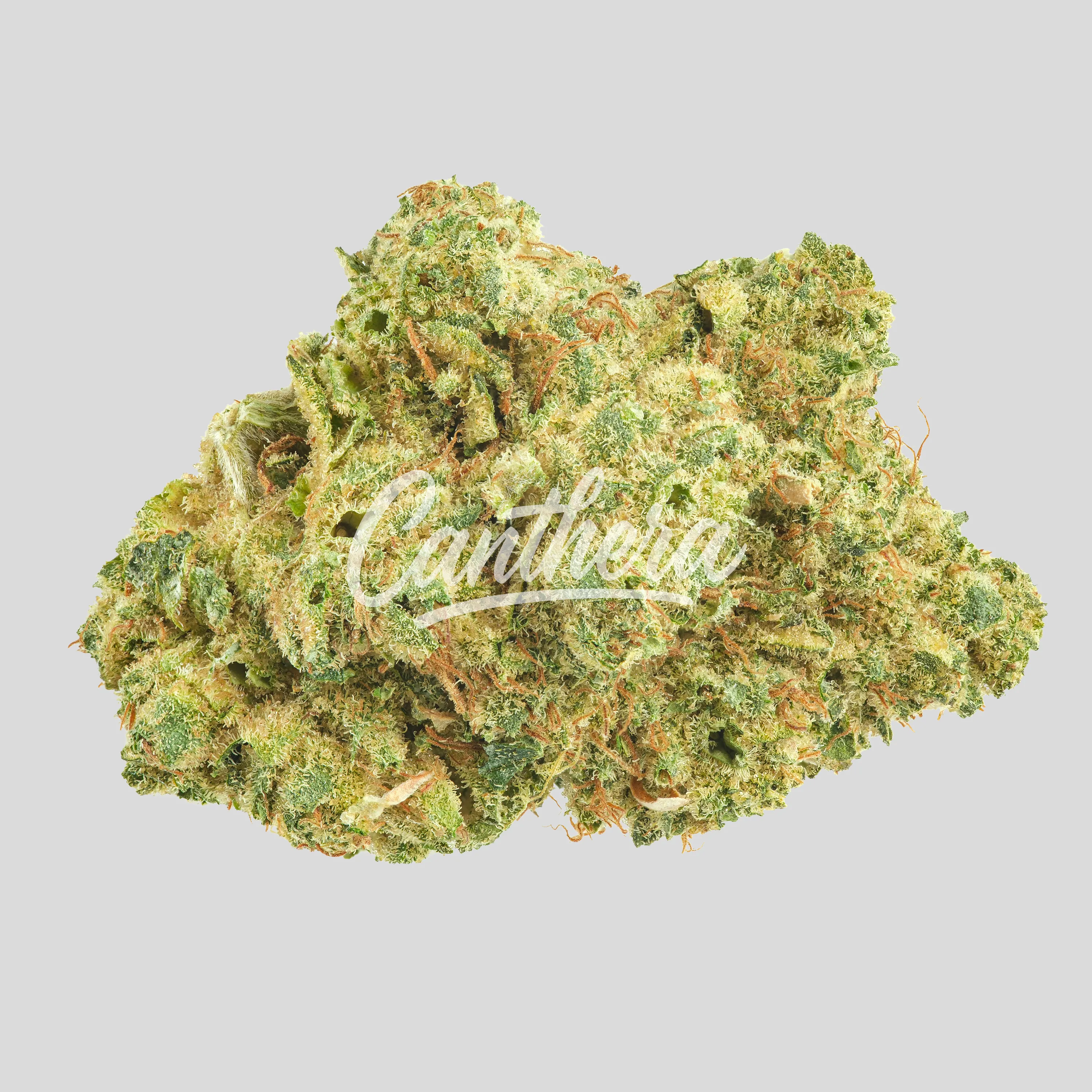 Enua 27-1 GTHA CA Ghost Train Haze online bestellen Enua 27-1 GTHA CA Ghost Train Haze online bestellen